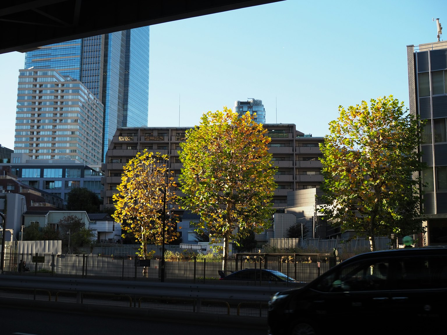 Paisaje urbano con árboles de otoño y rascacielos