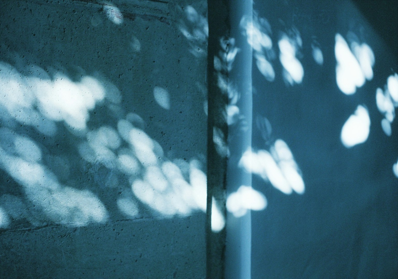 Taches de lumière et motifs d'ombre sur un mur bleu