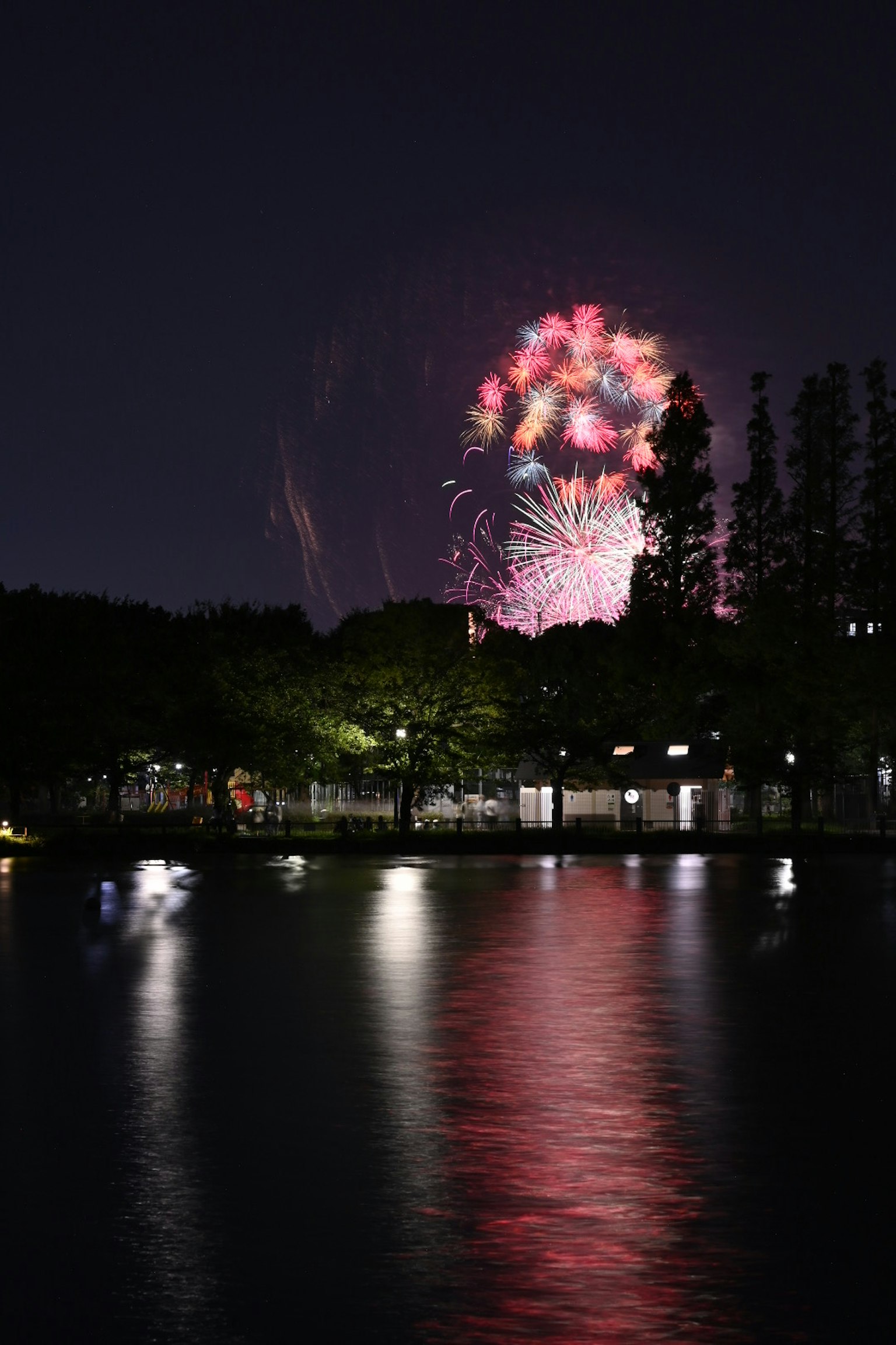 夜空中绽放的烟花在水面上映出美丽的景象