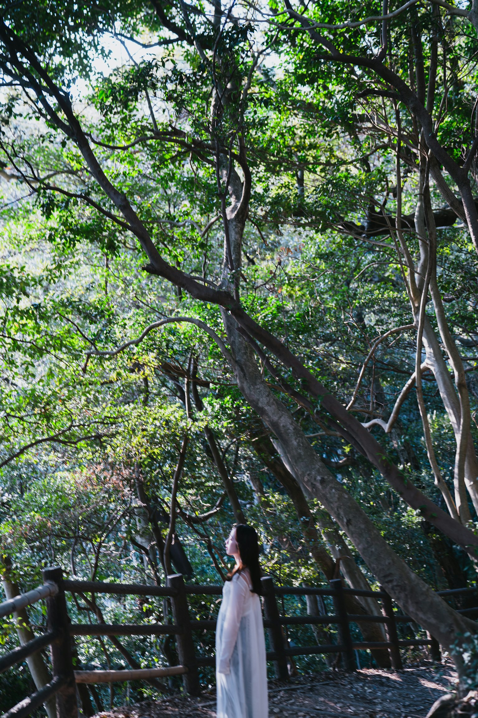 A woman in a white dress standing in a lush green forest