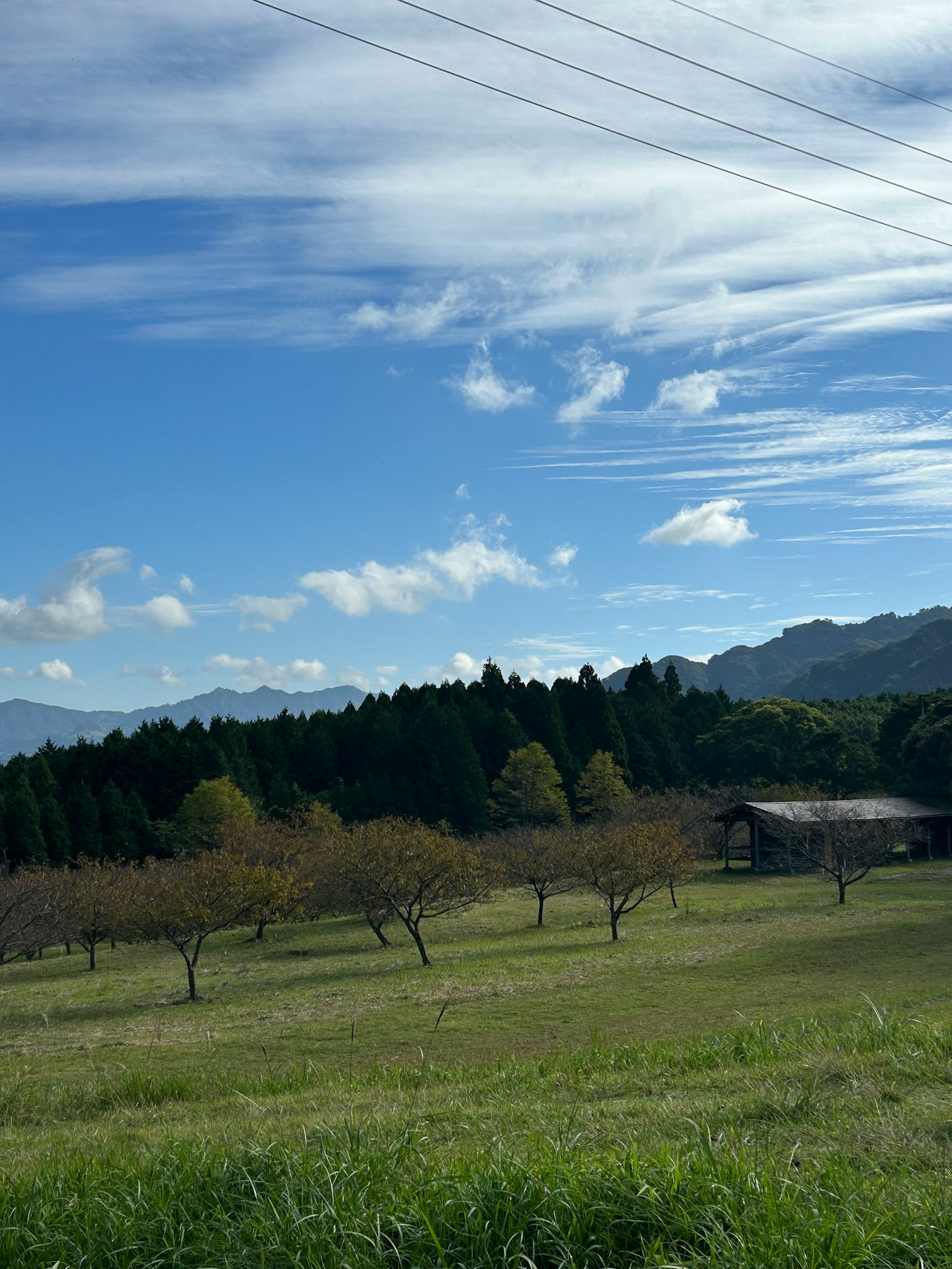 風景如畫的景觀，藍天白雲，果園和山脈