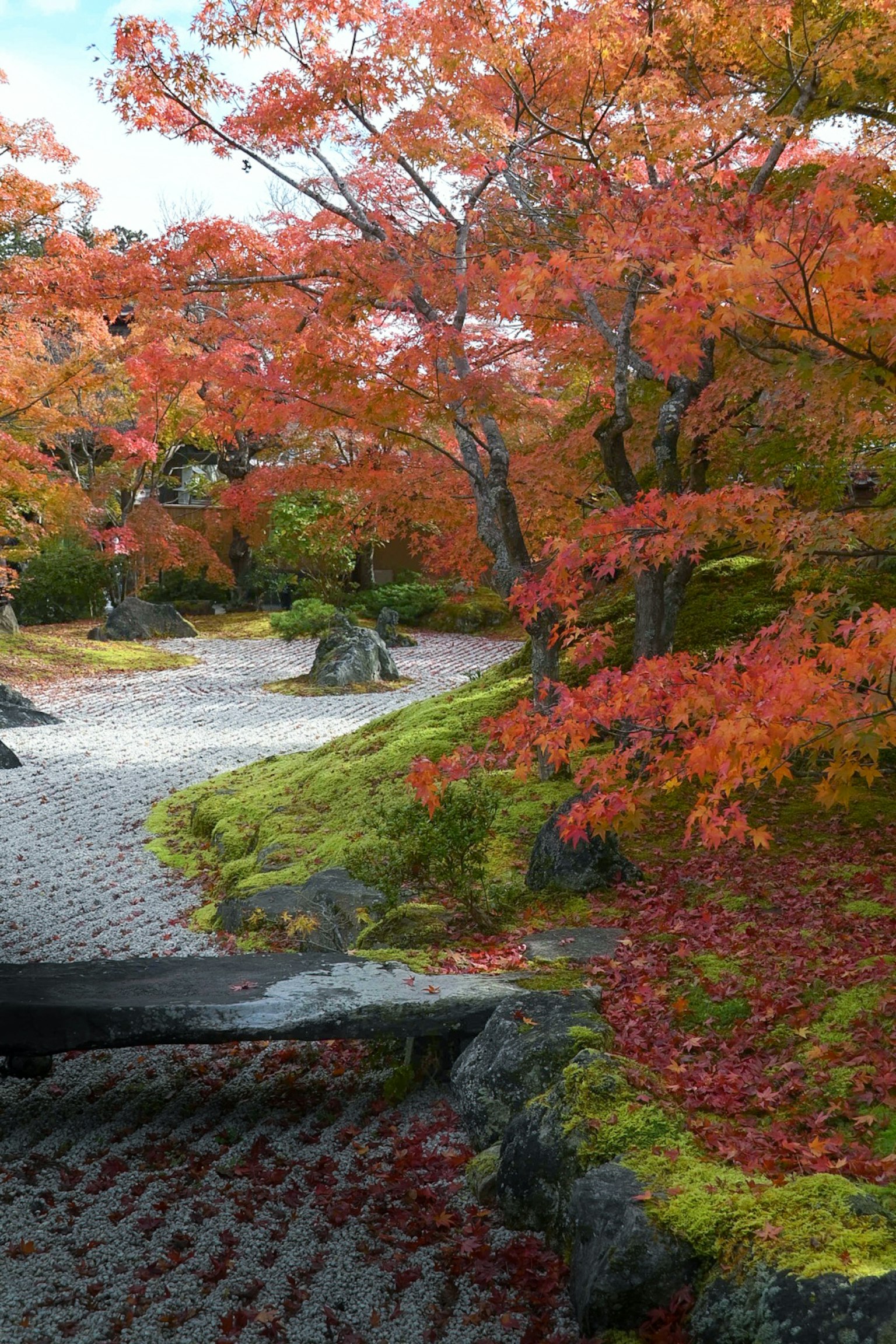 Bellissimo giardino con foglie autunnali e sentiero di pietra