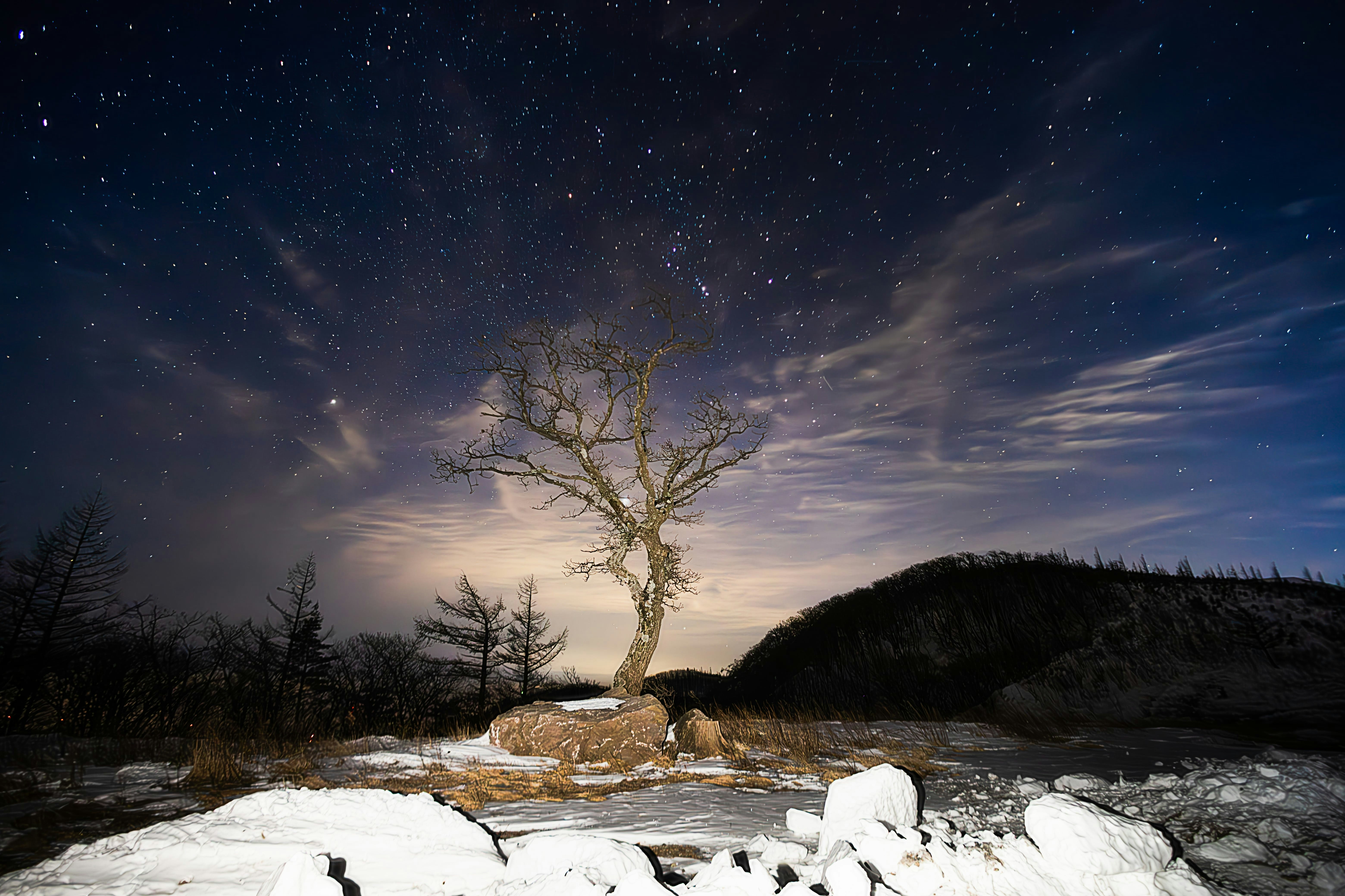cielo notturno stellato sopra rocce innevate e un albero solitario