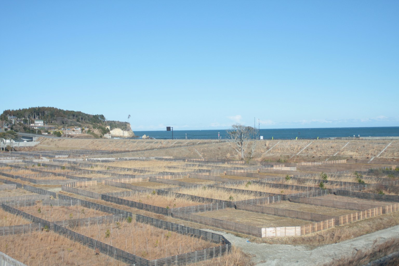 Un paisaje con campos ordenados y vista al mar y al cielo azul