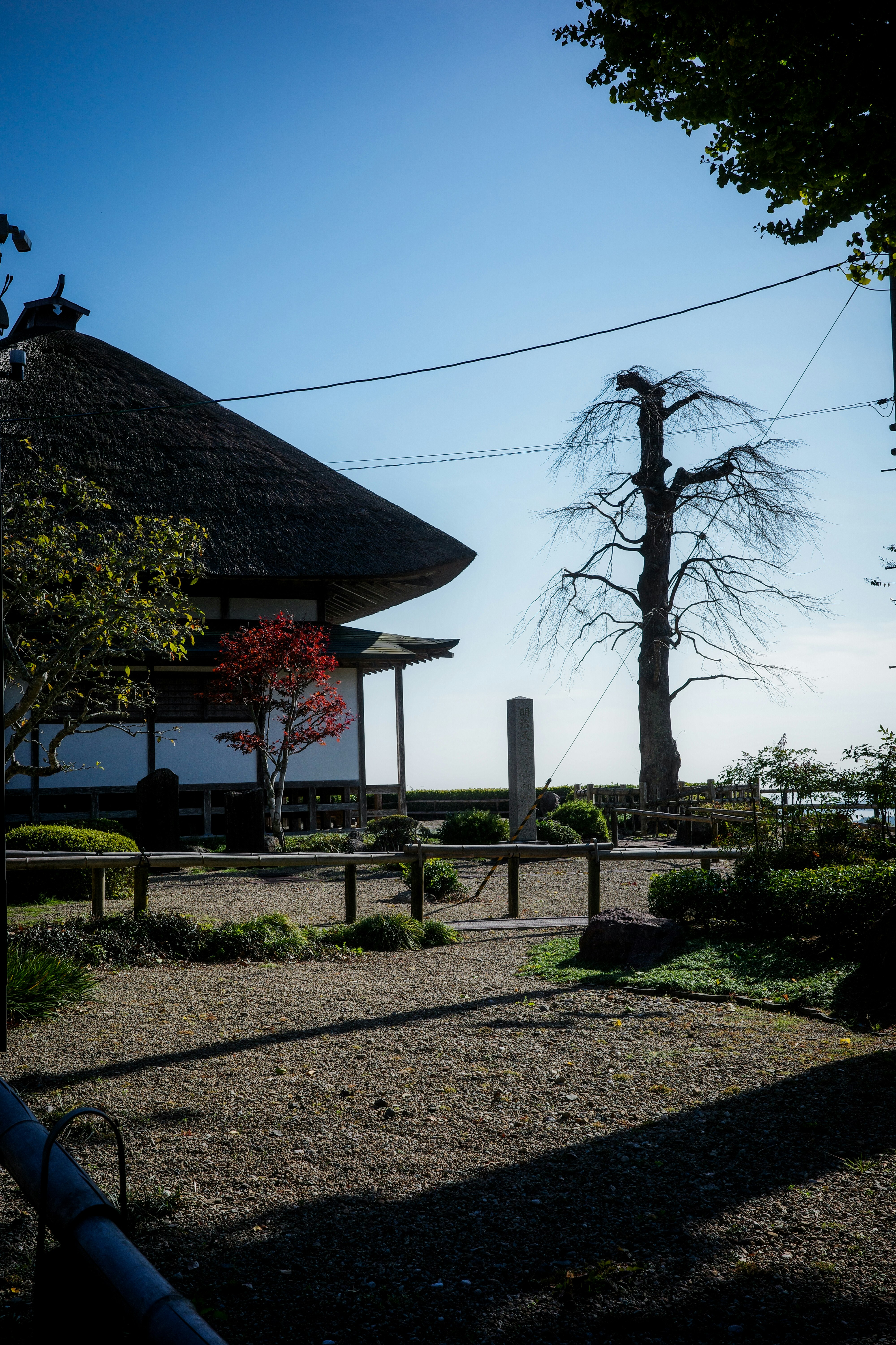 Landschaft mit einem traditionellen Gebäude und einem kahlen Baum unter blauem Himmel