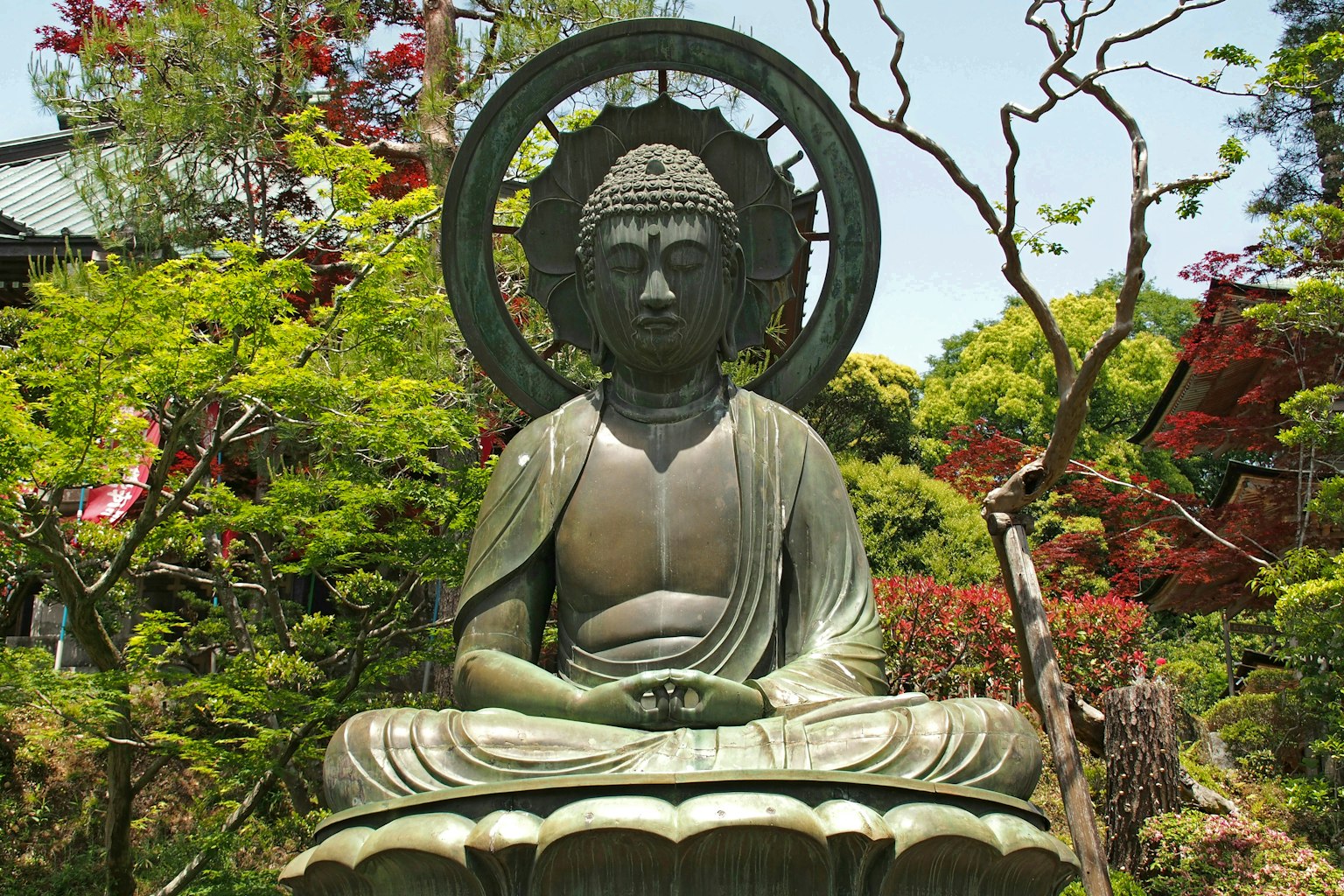 坐在美丽花园中的佛像青铜雕塑，细致的细节和郁郁葱葱的绿意