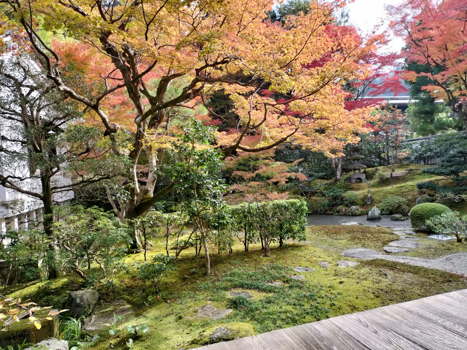 色彩斑斓的秋季日本庭园景观