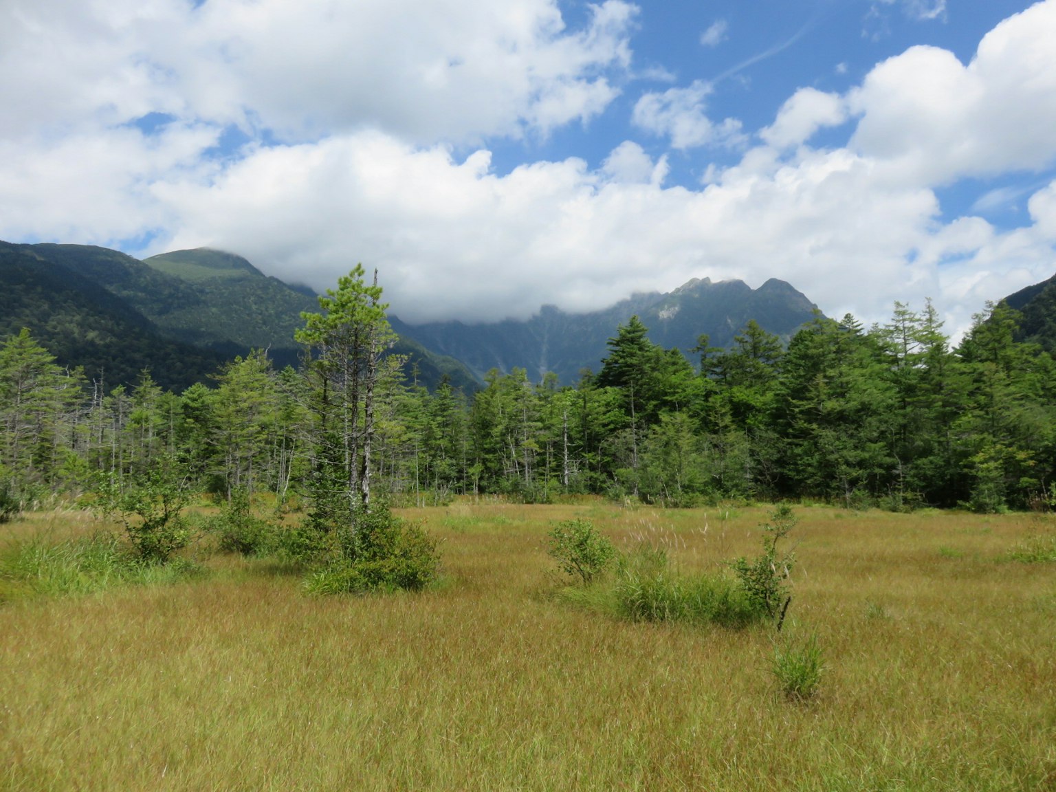 Lush green landscape with mountains under a blue sky and clouds