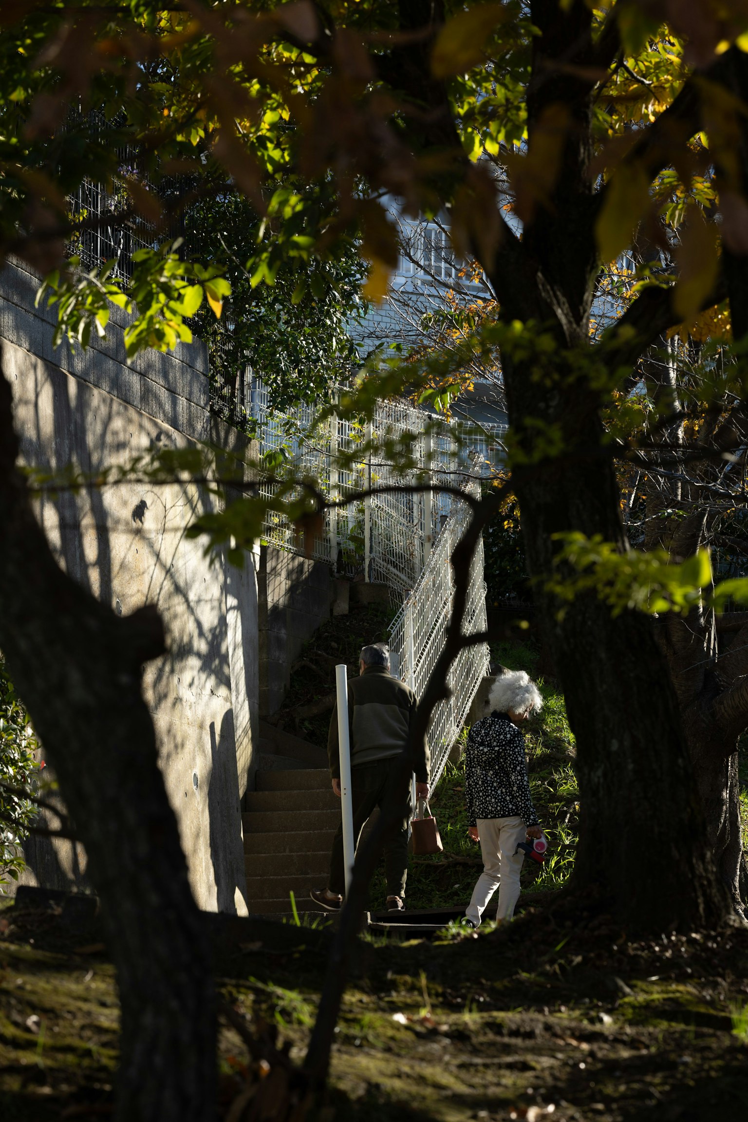 가을 나무 사이를 걷는 두 사람과 배경의 건물