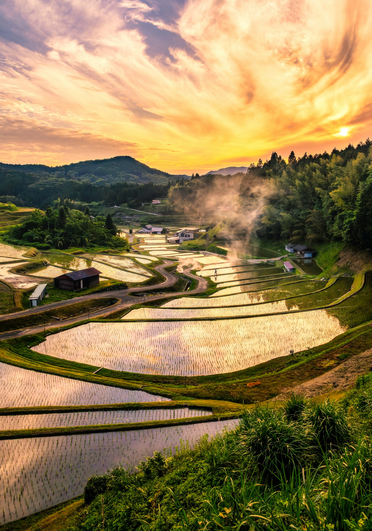日本乡村稻田的美丽景色与夕阳和雾气