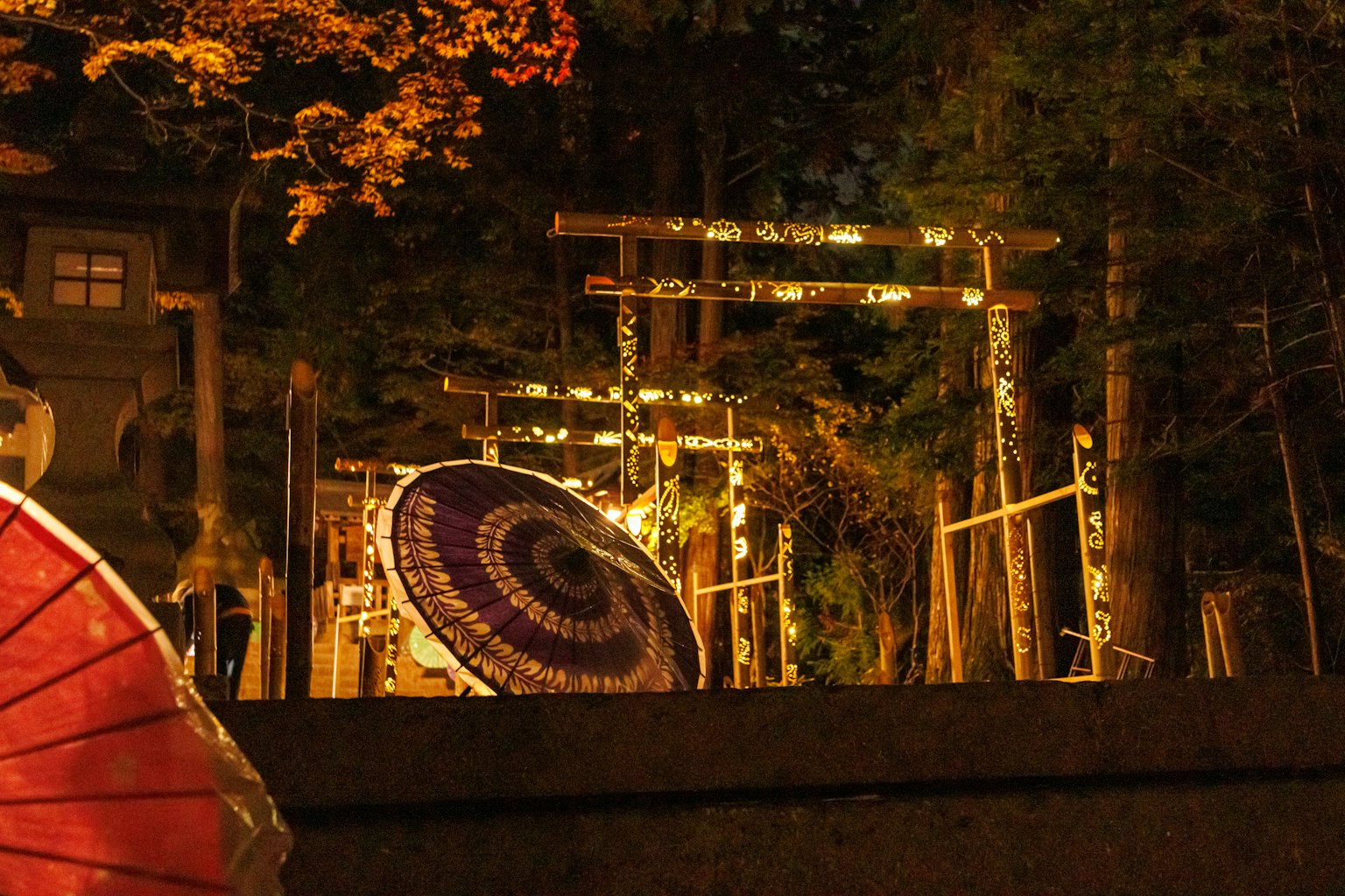 photo-htvKLhdxWwMJYm7BDTHv-image