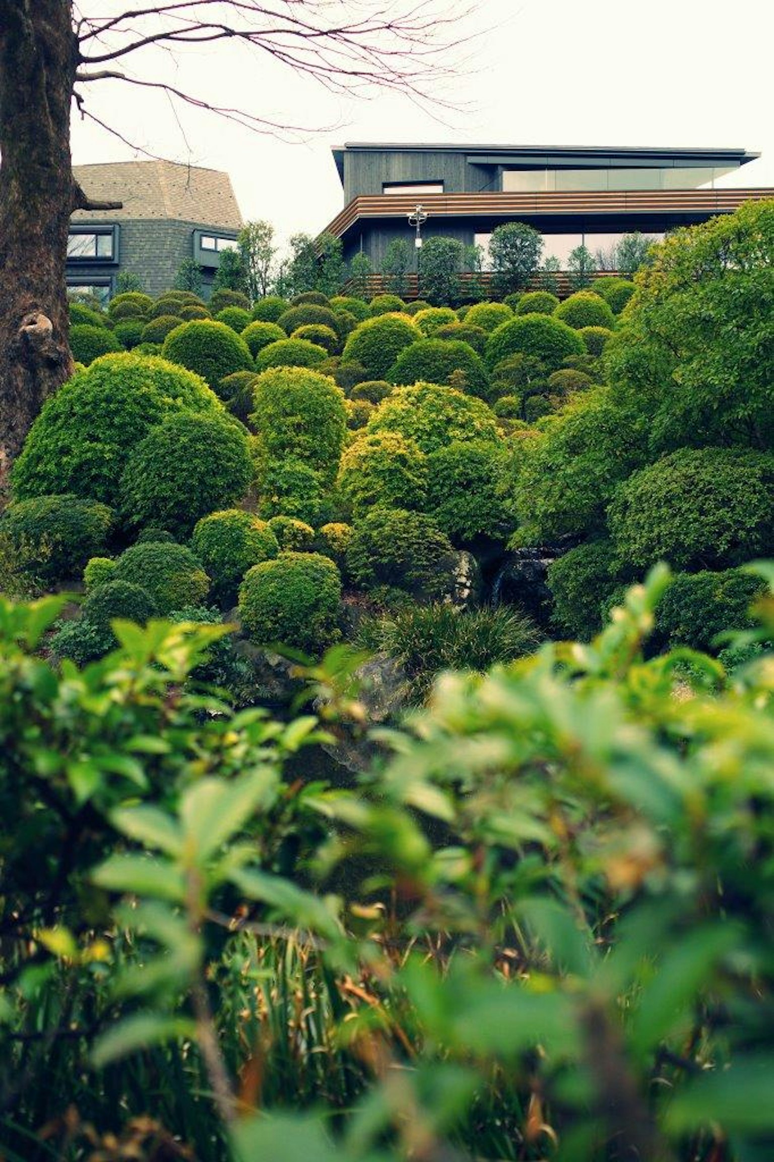 Modernes Gebäude umgeben von einem üppigen grünen Garten mit runden Büschen