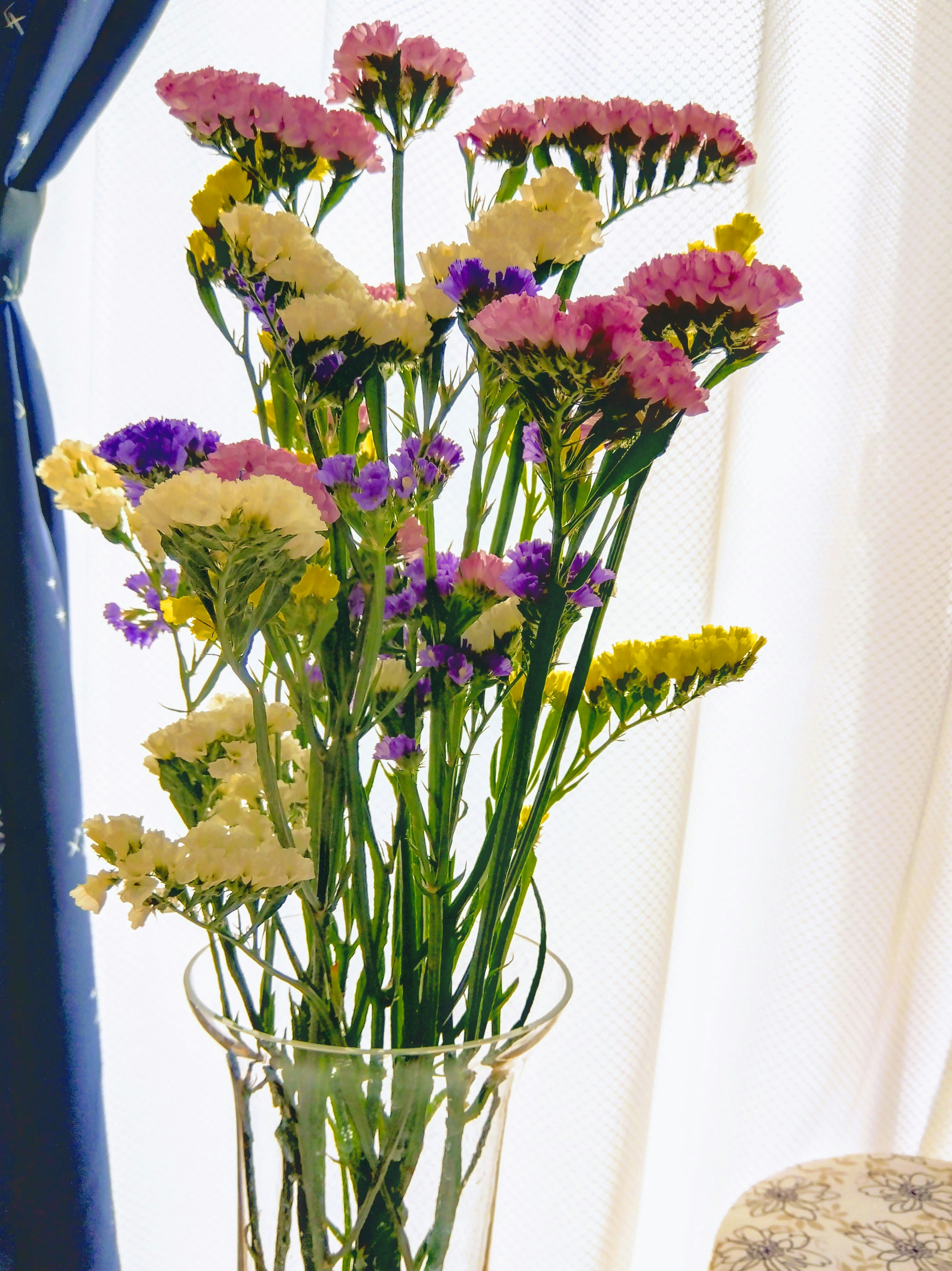 colorful cut flowers arranged like a bouquet