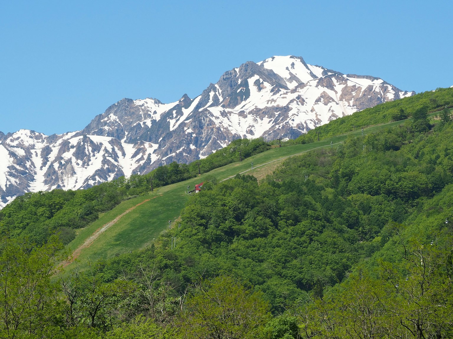 雪山與郁郁蔥蔥的山丘
