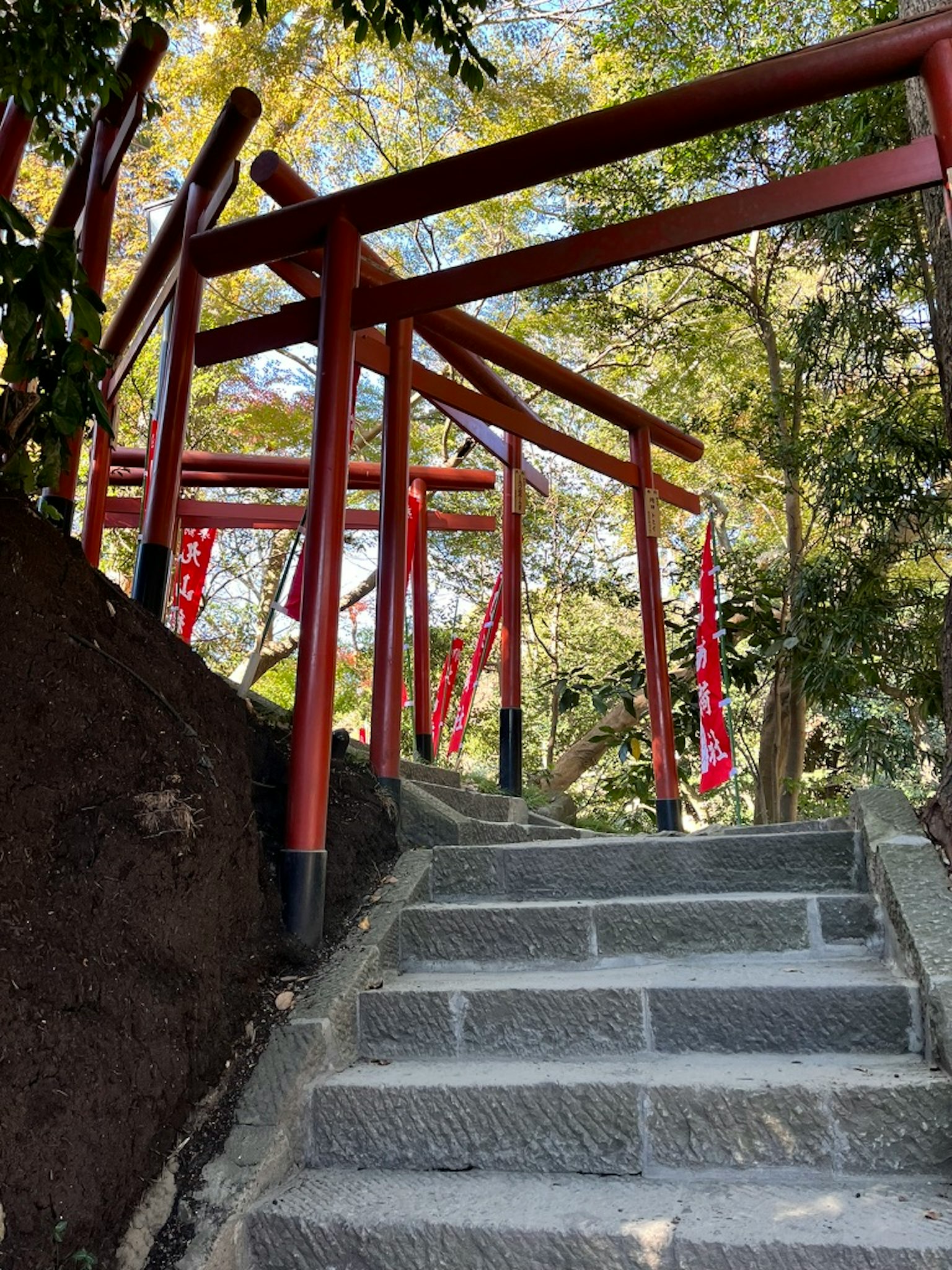 Steinstufen, die zu einem roten Torii umgeben von Bäumen führen
