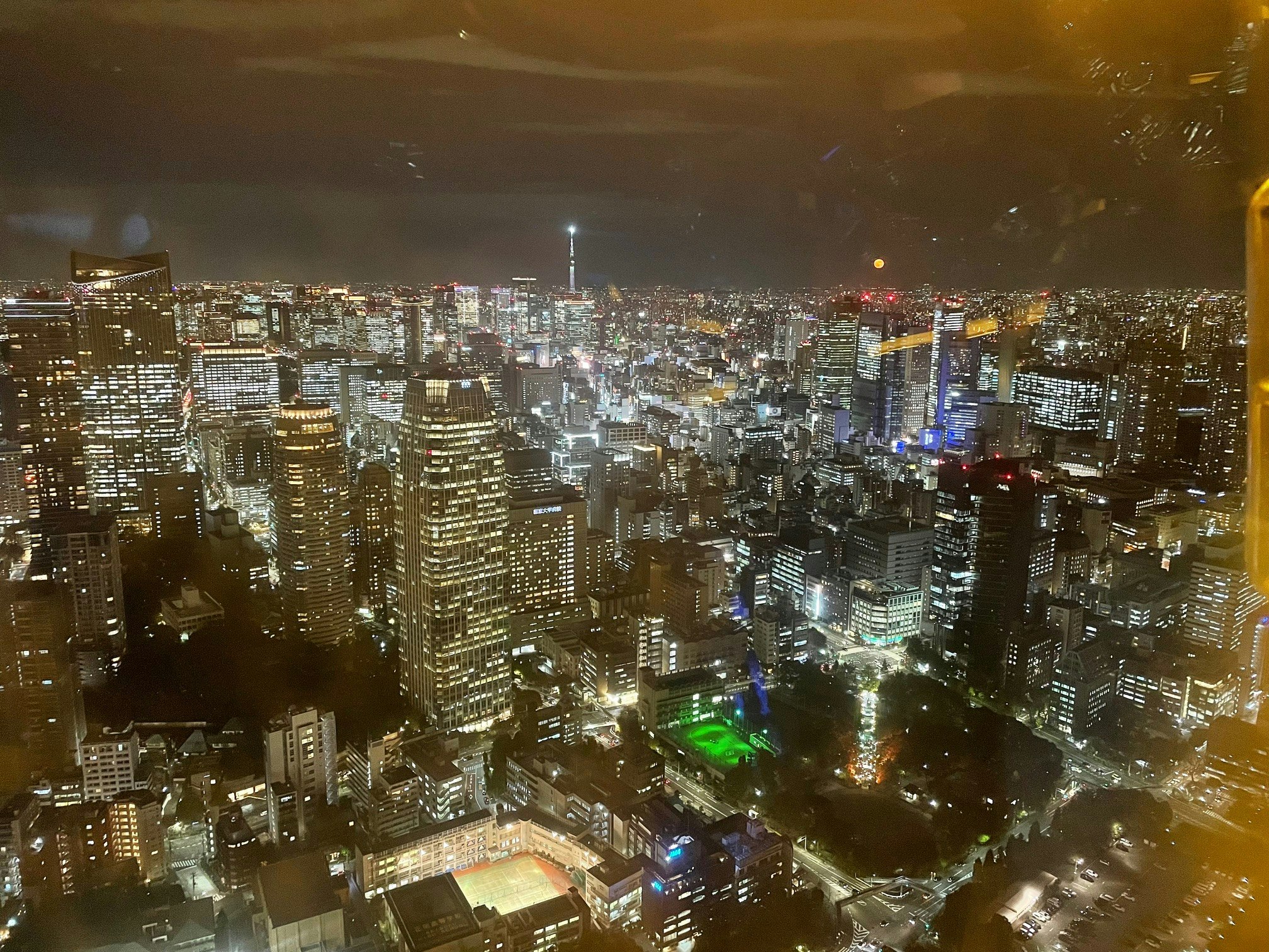 夜景の高層ビル群と街の光が広がる都市の眺め