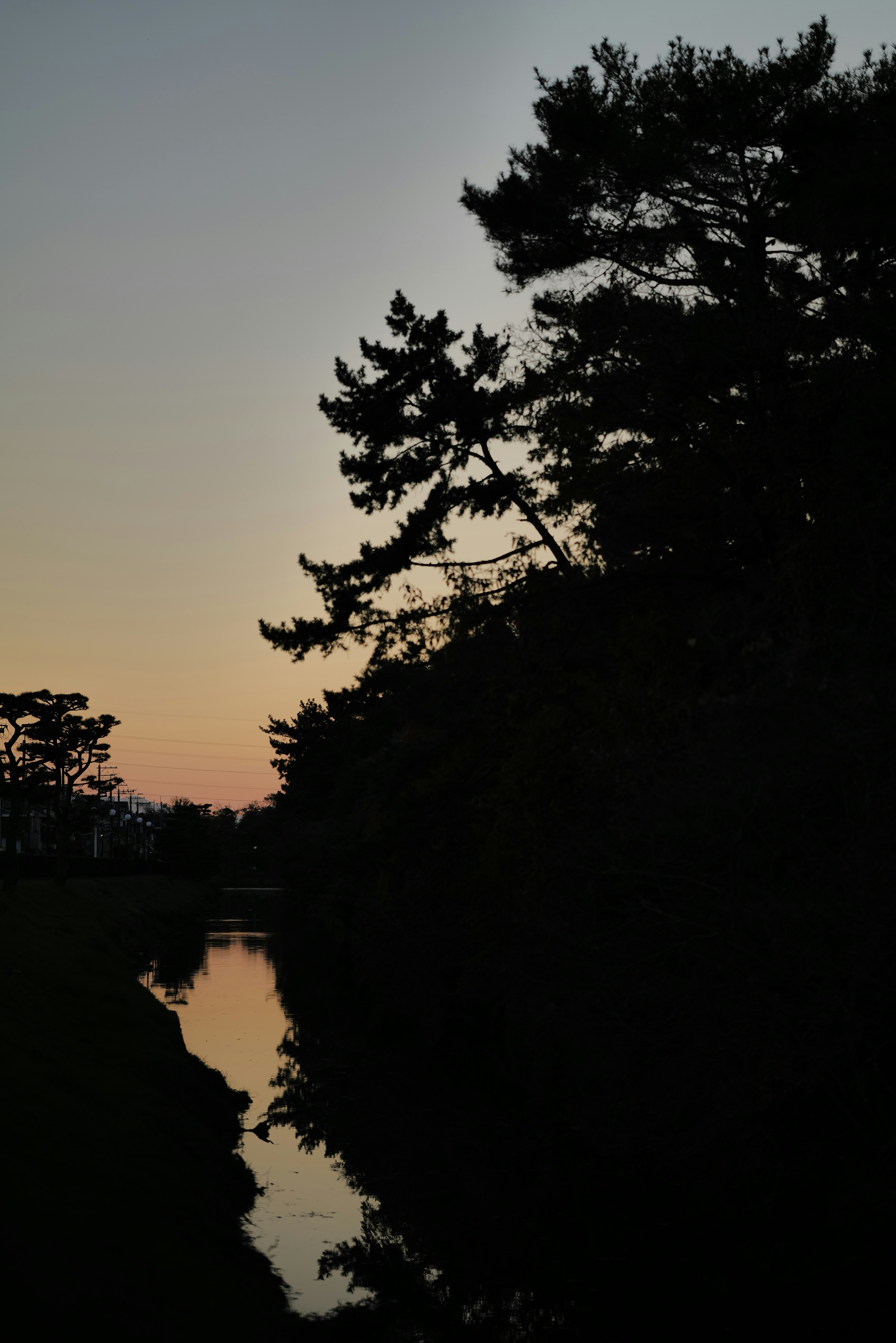 décor de type découpe papier au crépuscule près de l’eau et des arbres