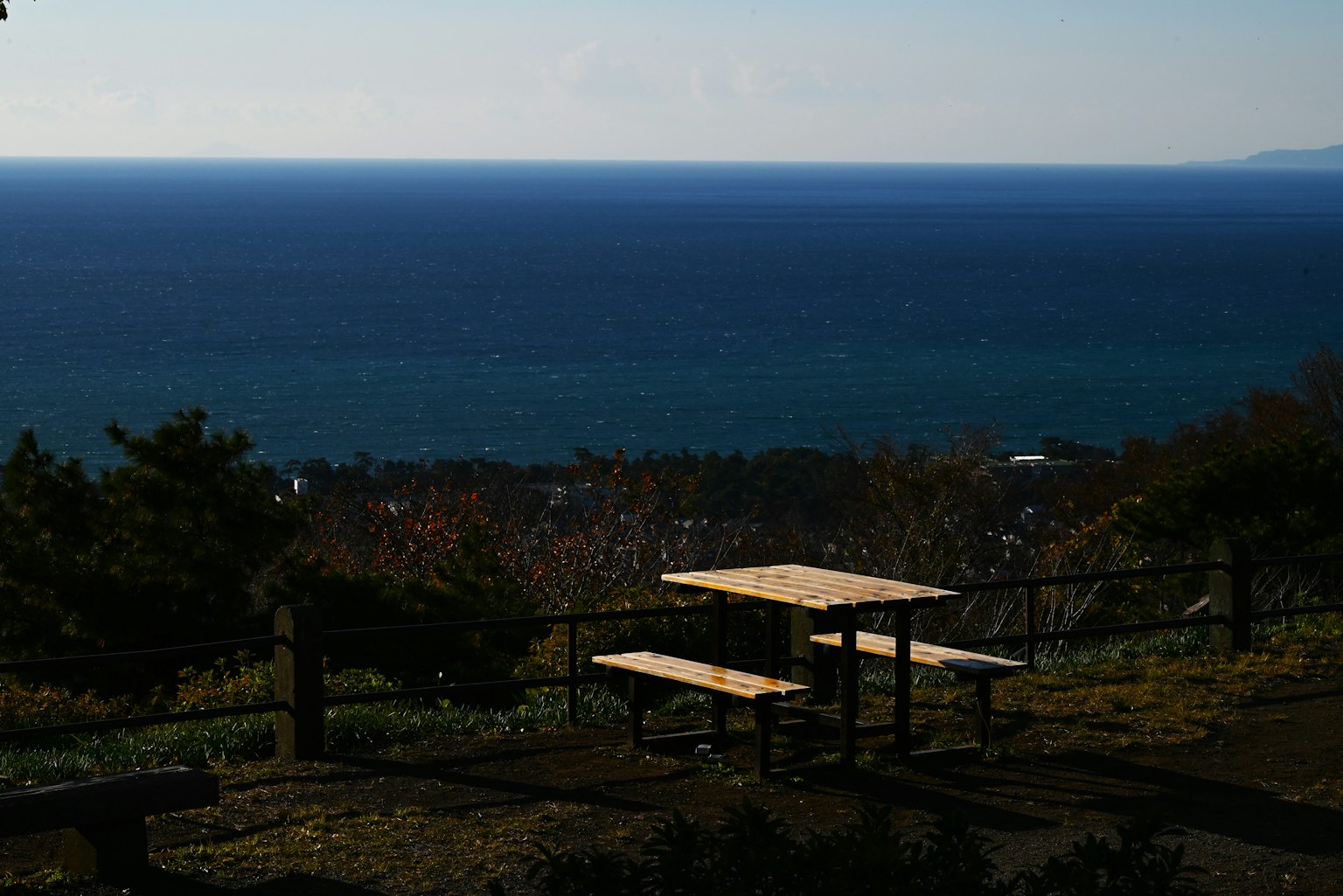 Tavolo da picnic con vista sull'oceano e alberi verdi in primo piano