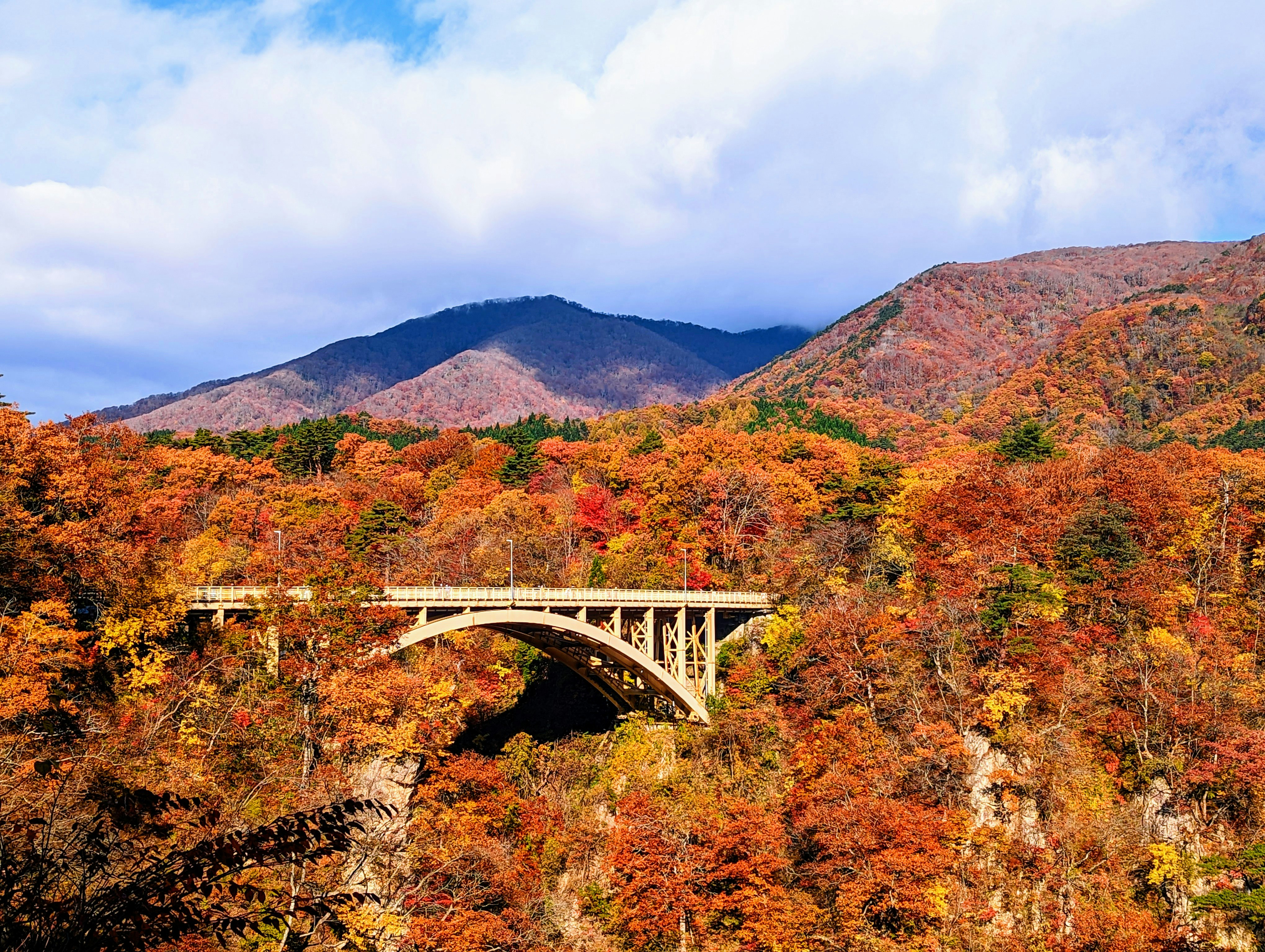 紅葉の山あいを走るアーチ橋の列車の風景