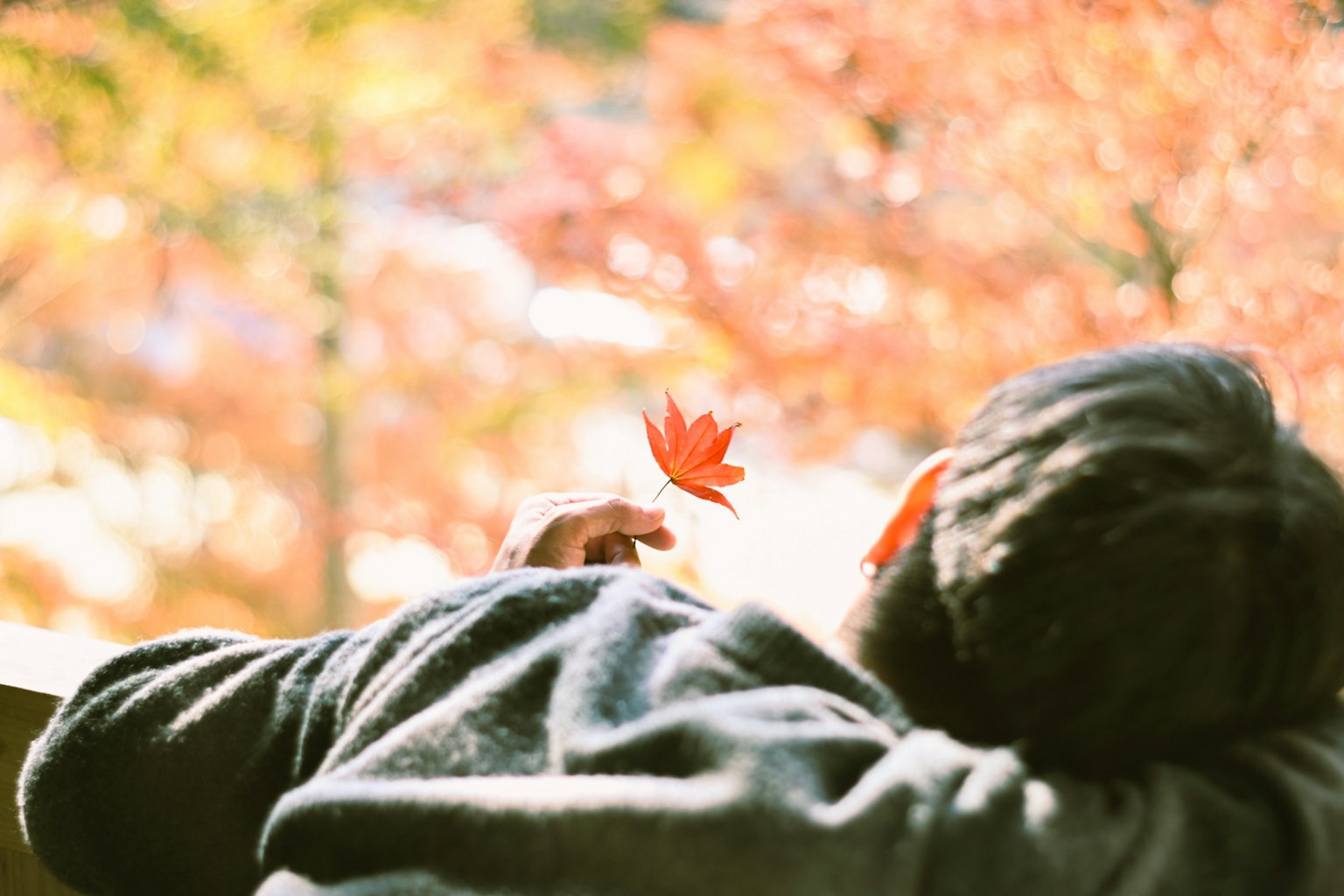 秋の紅葉を背景にした人物が落ち葉を持っているシーン