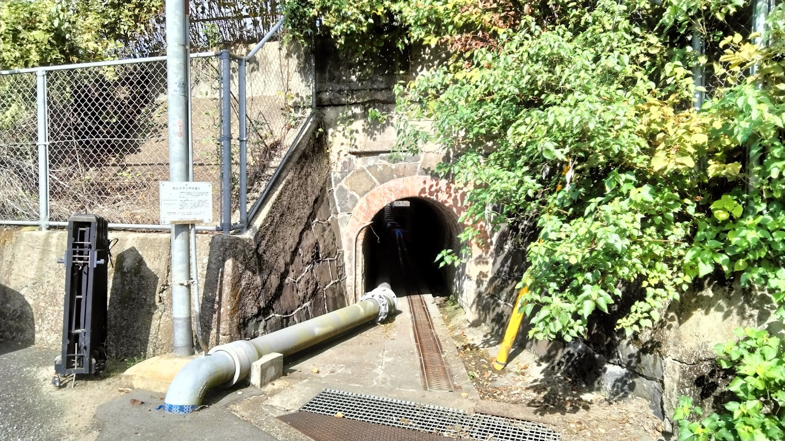 Ancien tunnel en briques avec de la verdure environnante