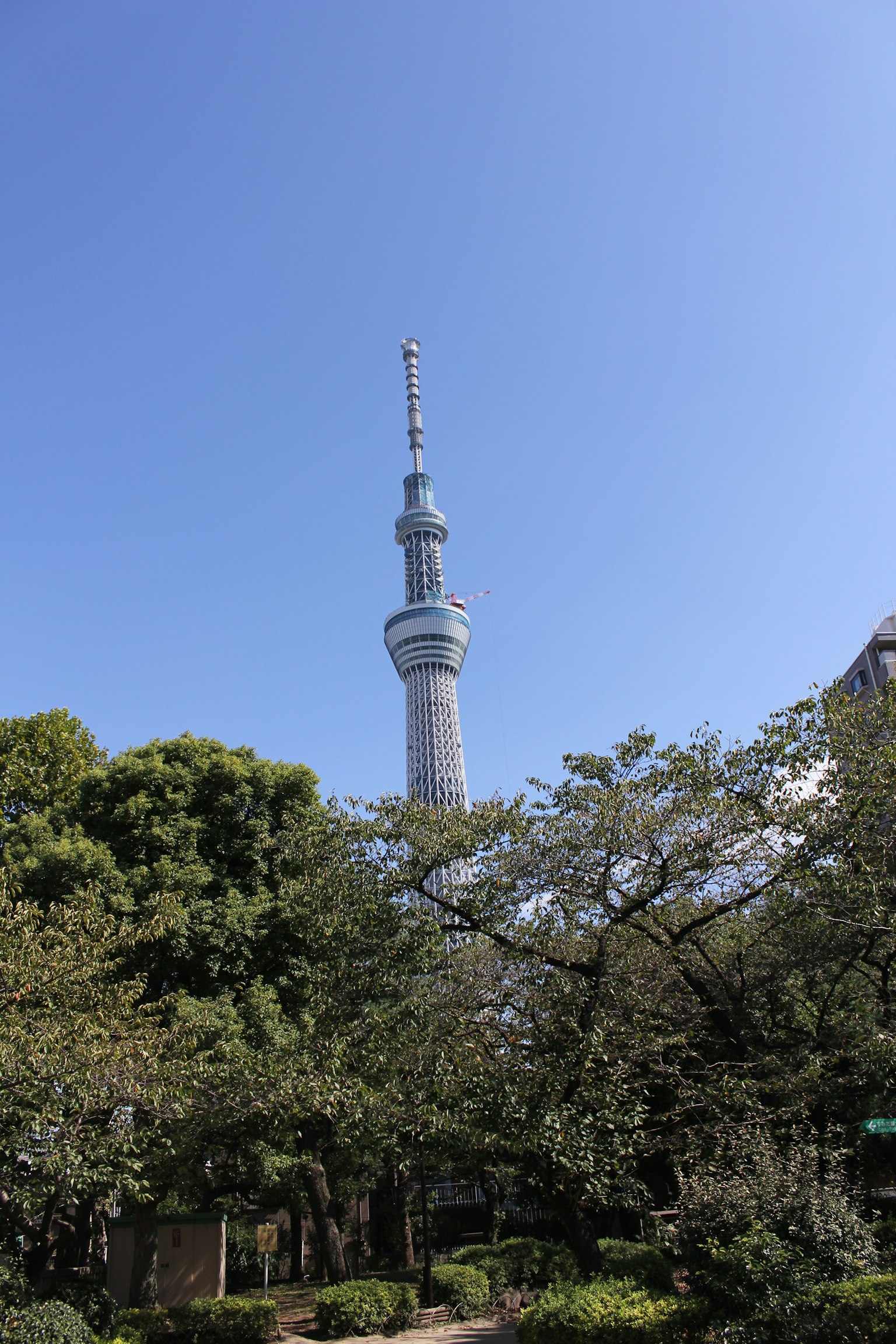 Tokyo Skytree che si erge sotto un cielo blu circondato da vegetazione lussureggiante