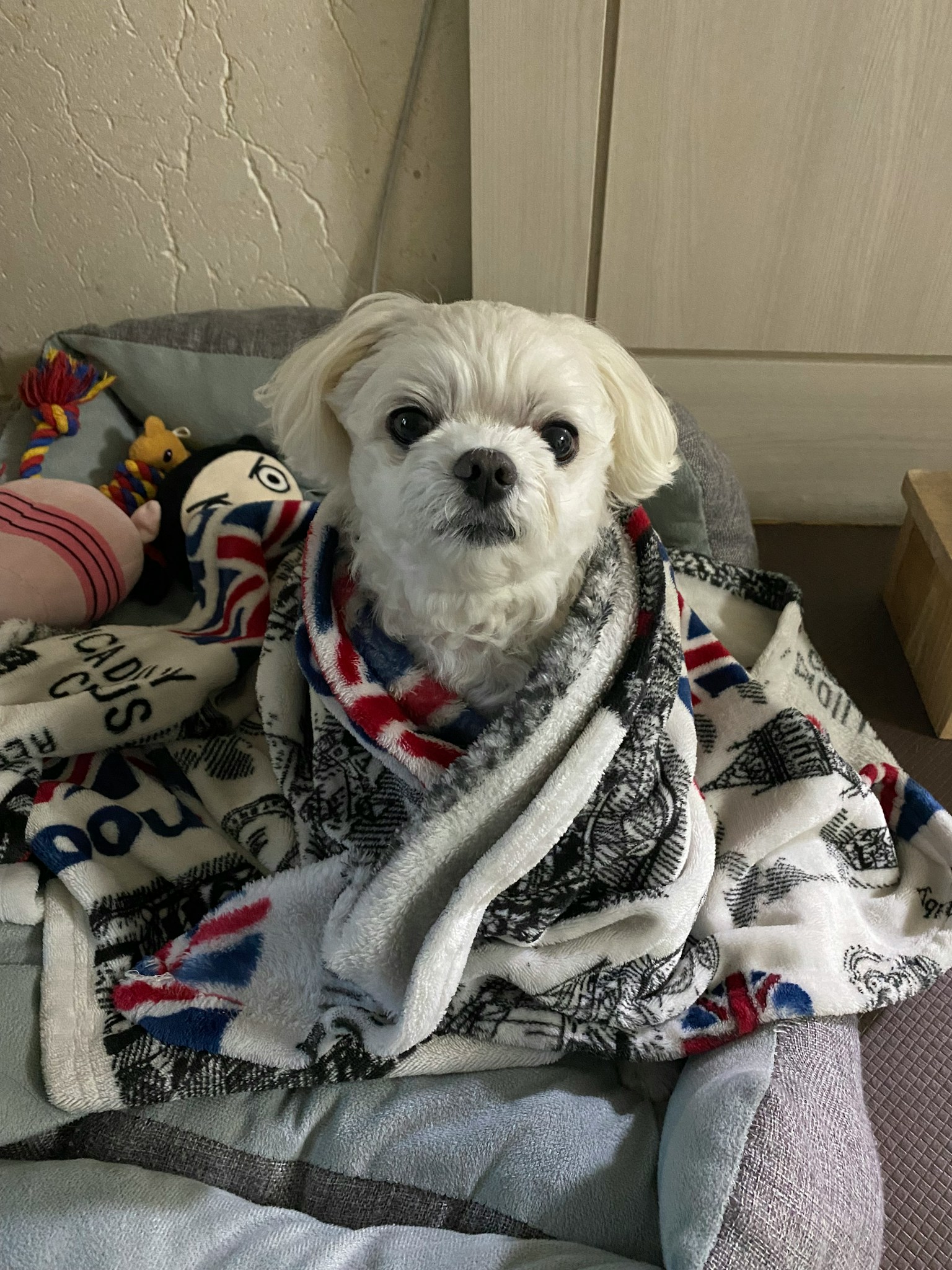 photo-hwFPA0BO2hVexwS3V6UR-image