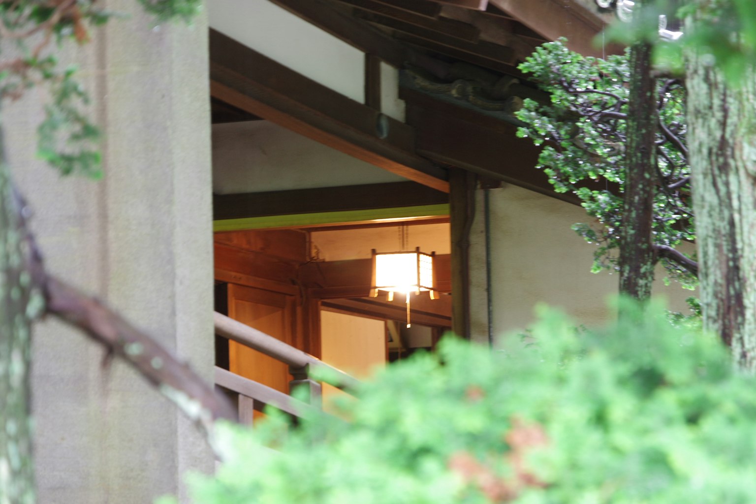 传统日本房屋入口的景观 周围环绕着绿色植物 内部可见灯具