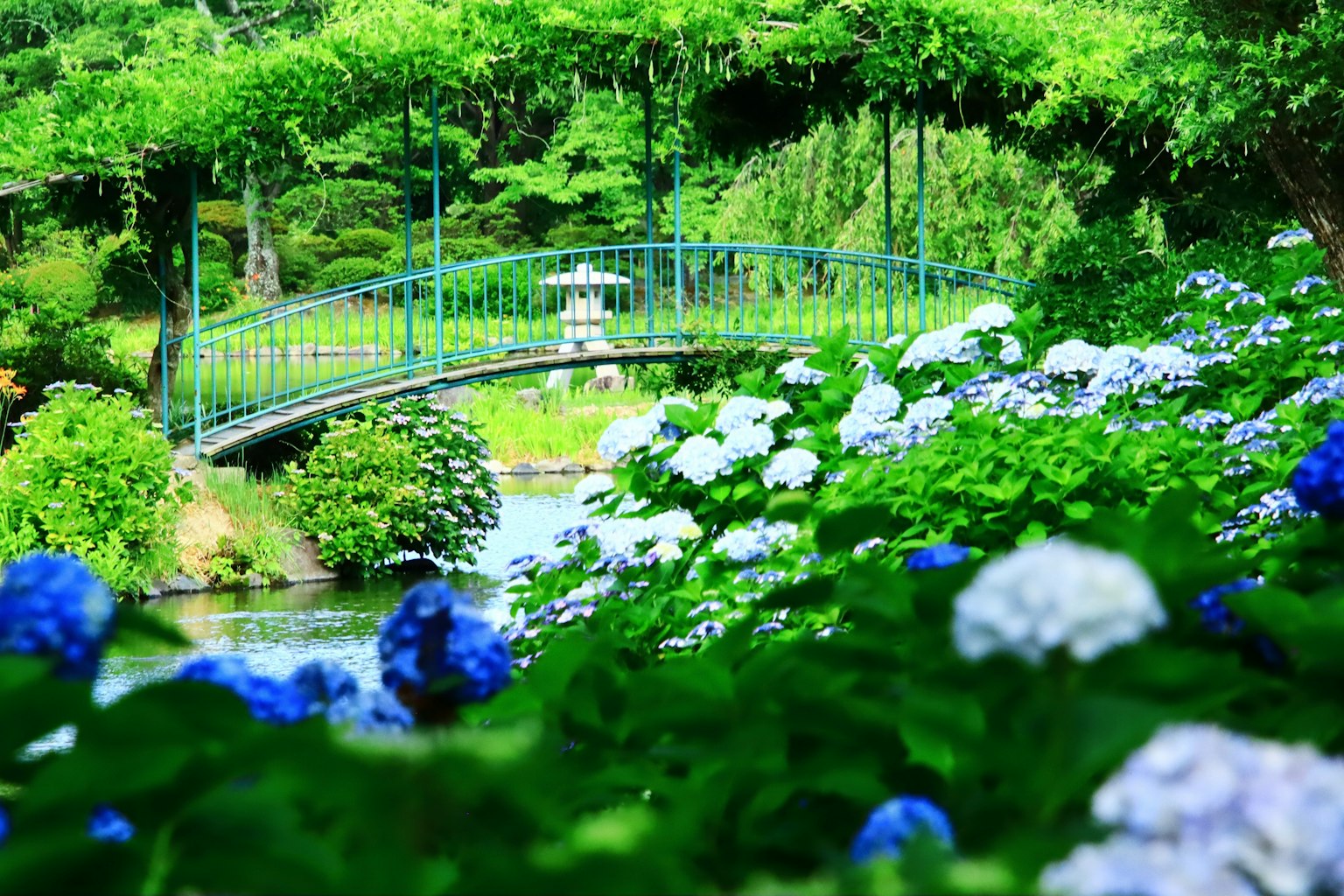 美麗的風景，有一座綠色橋樑橫跨河流，周圍環繞著藍色和白色的花朵