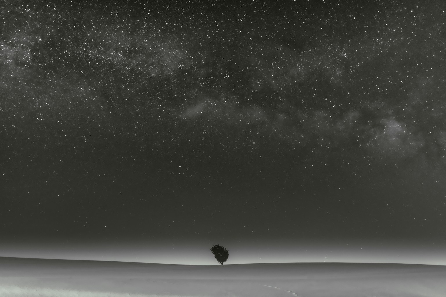 Un albero solitario sotto un cielo stellato