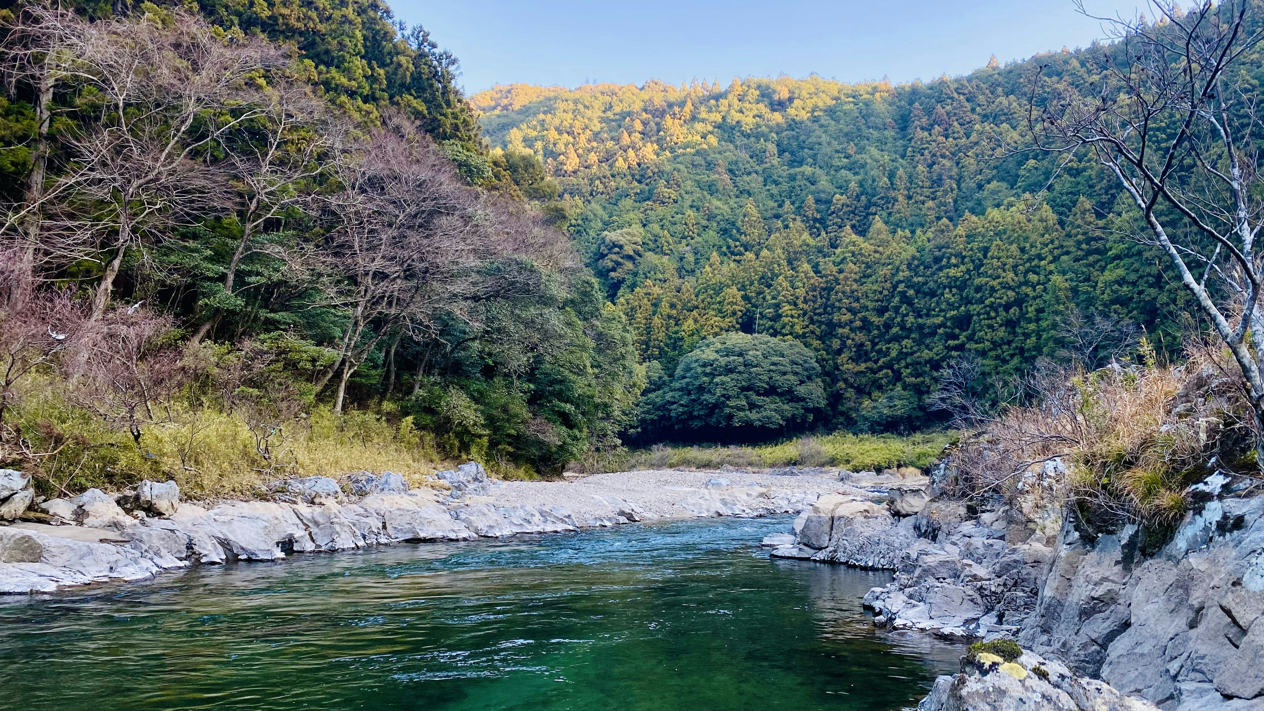 渓流沿いの岩場と緑の森が広がる川の風景