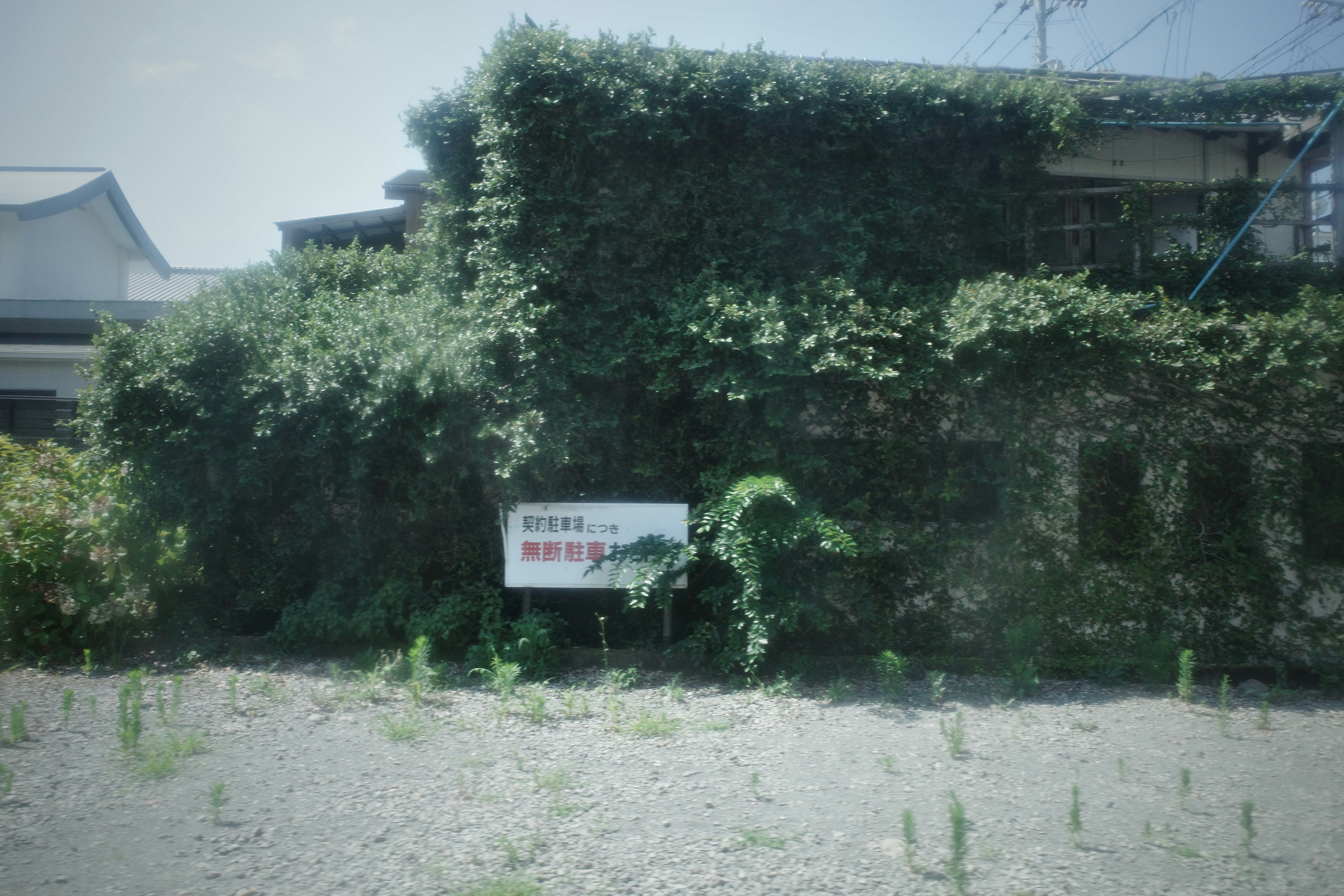 A landscape with a grassy path, dense hedges, and a roadside sign