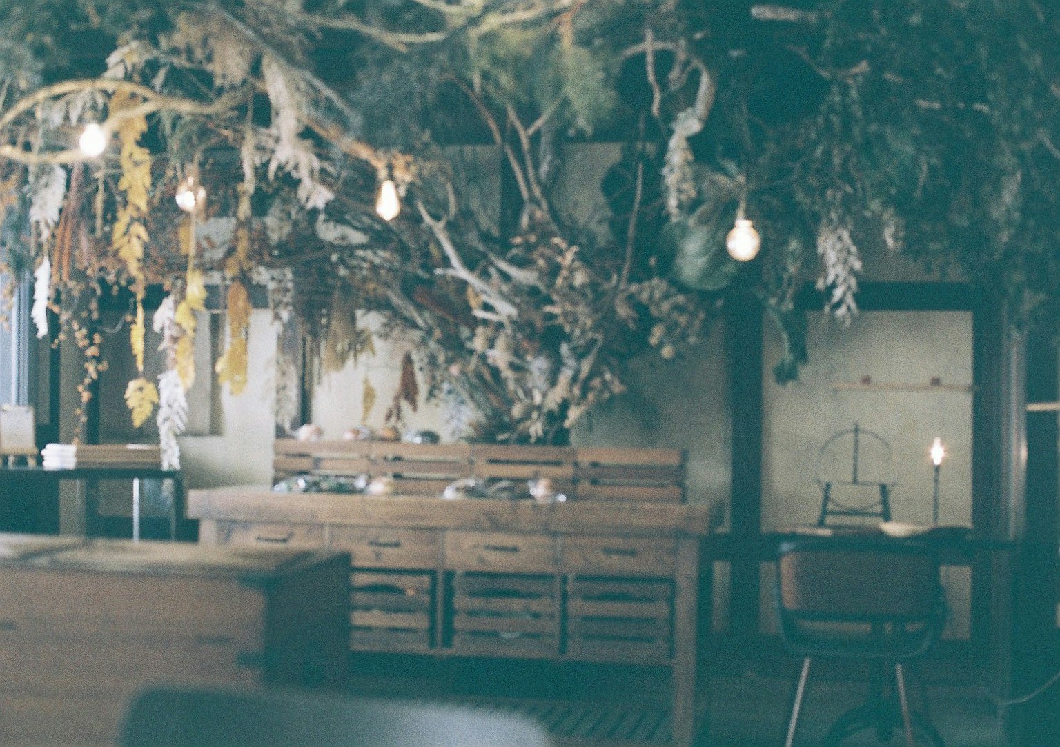Interior kafe yang dihias dengan cabang dan bunga kering