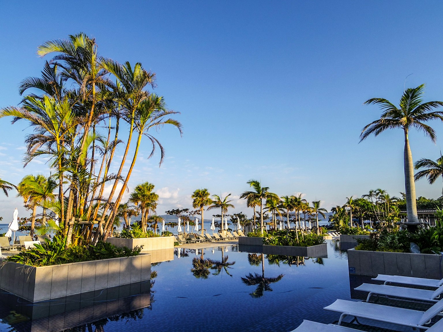 Resort landscape featuring a pool and palm trees under a blue sky