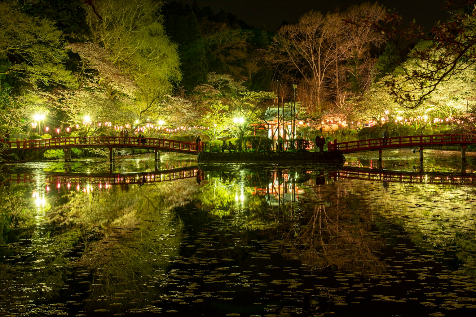 สระน้ำในสวนและสะพานที่สวยงามในตอนกลางคืน