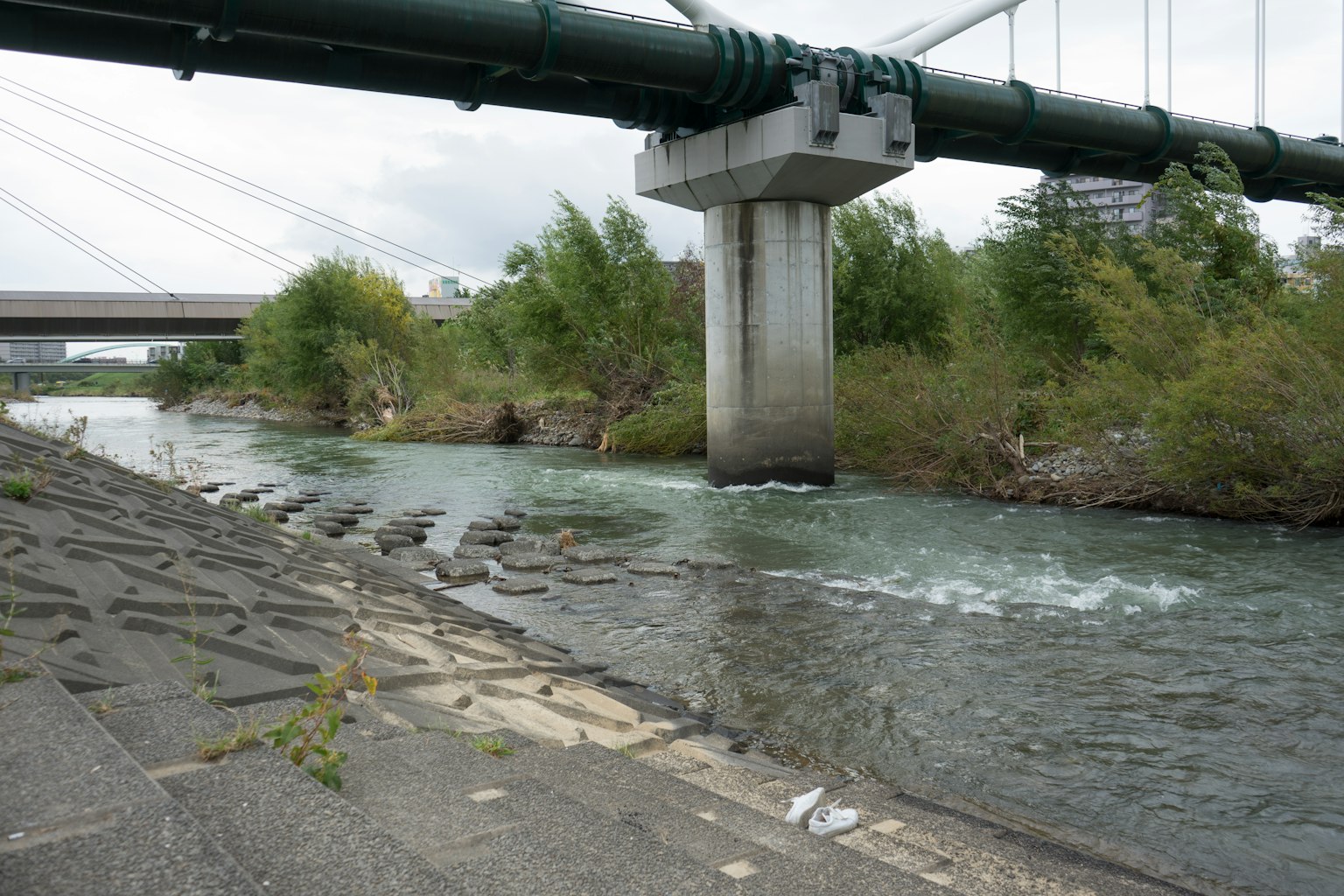 Pemandangan indah dengan sungai yang mengalir dan pilar jembatan dikelilingi oleh pepohonan dan tepi beton
