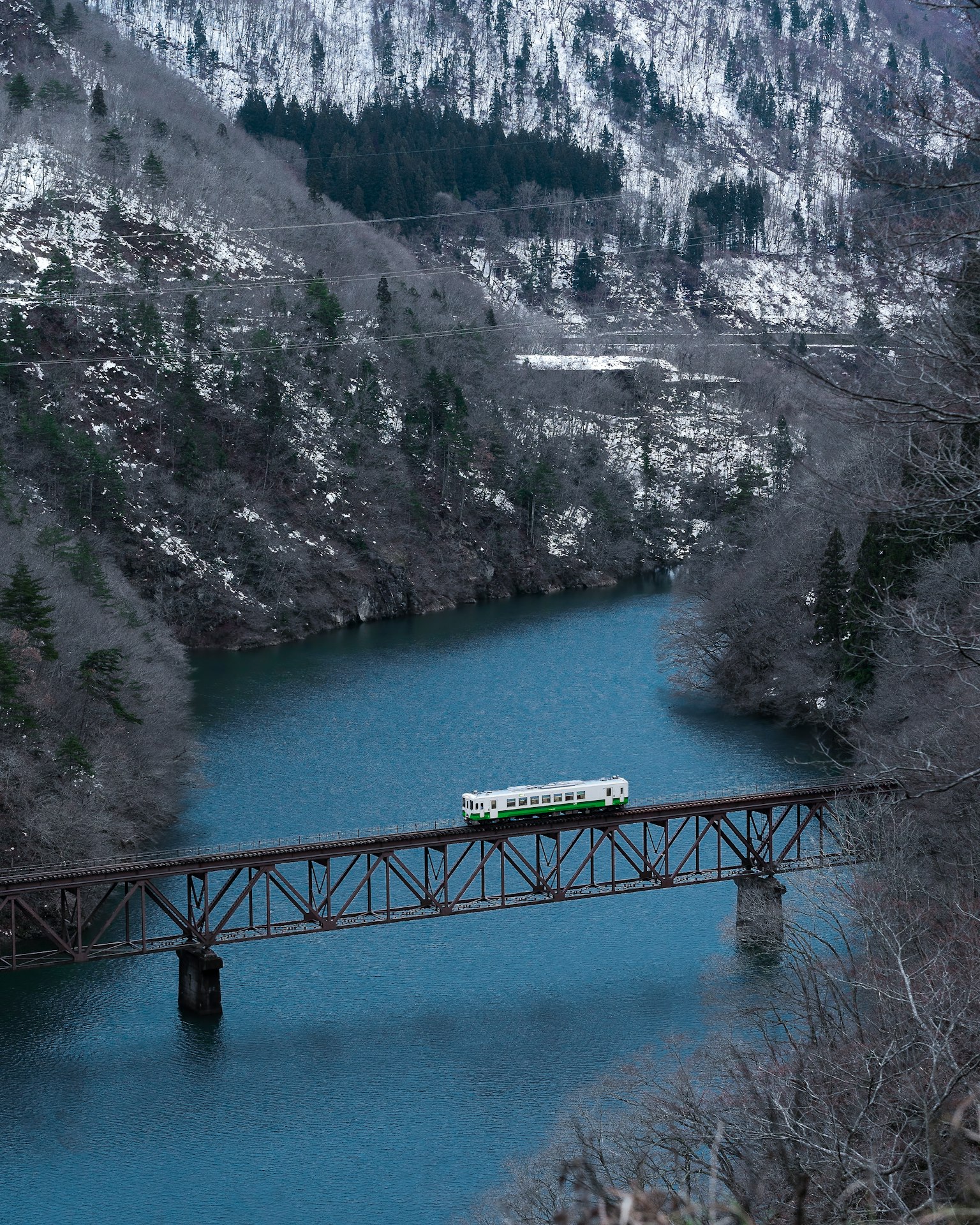photo-i0lTkRLNMm1JF1LsRMjF-image