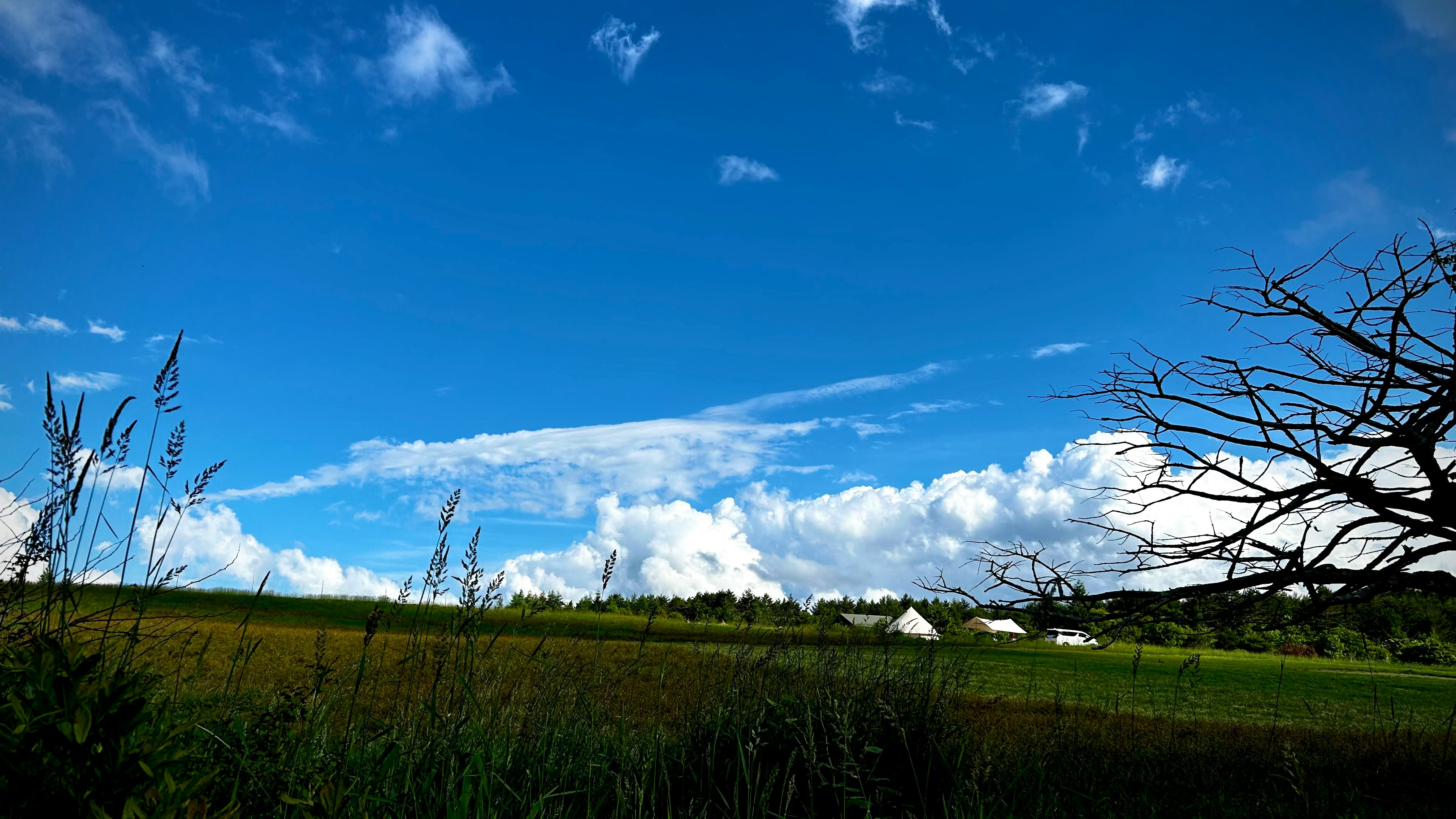群馬県嬬恋村の草原と青空の風景