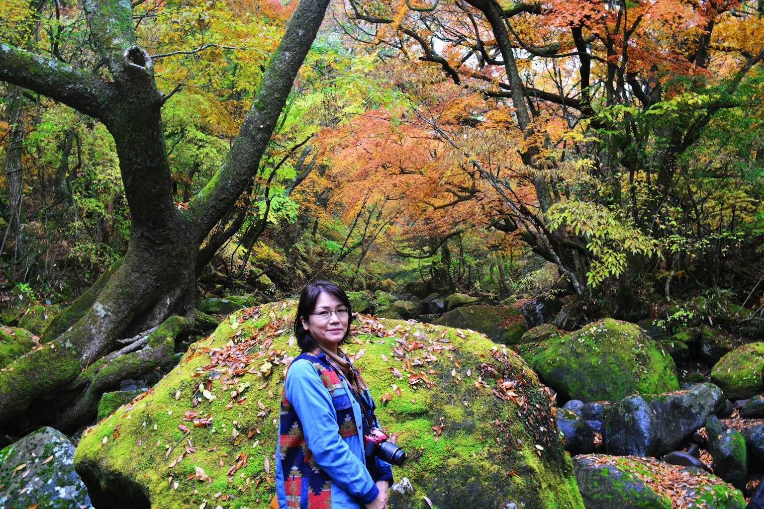 Woman standing in a beautiful autumn landscape surrounded by large moss-covered rocks and colorful leaves