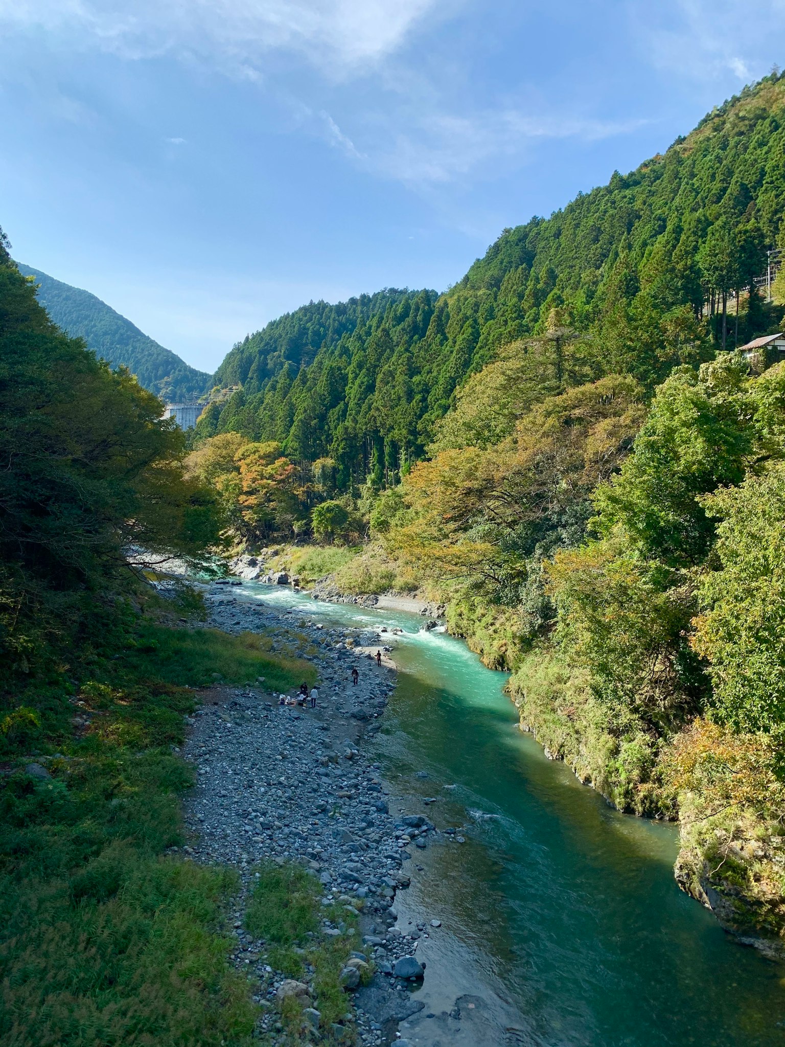 Scenic view of a river flowing through lush green mountains
