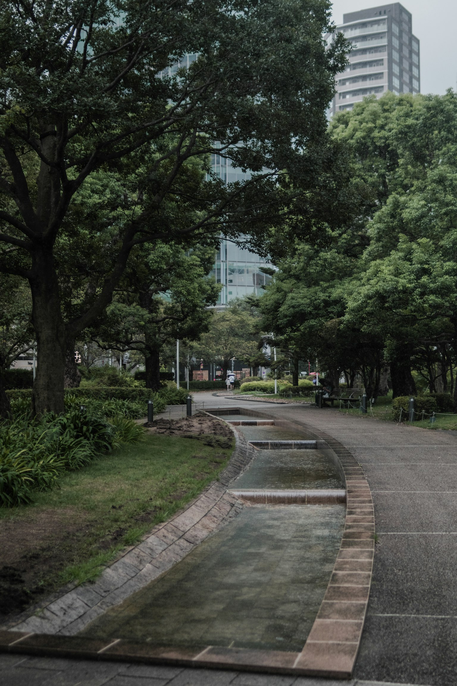 ทางเดินในสวนสาธารณะที่มีต้นไม้เขียวขจีและพื้นหลังเมือง