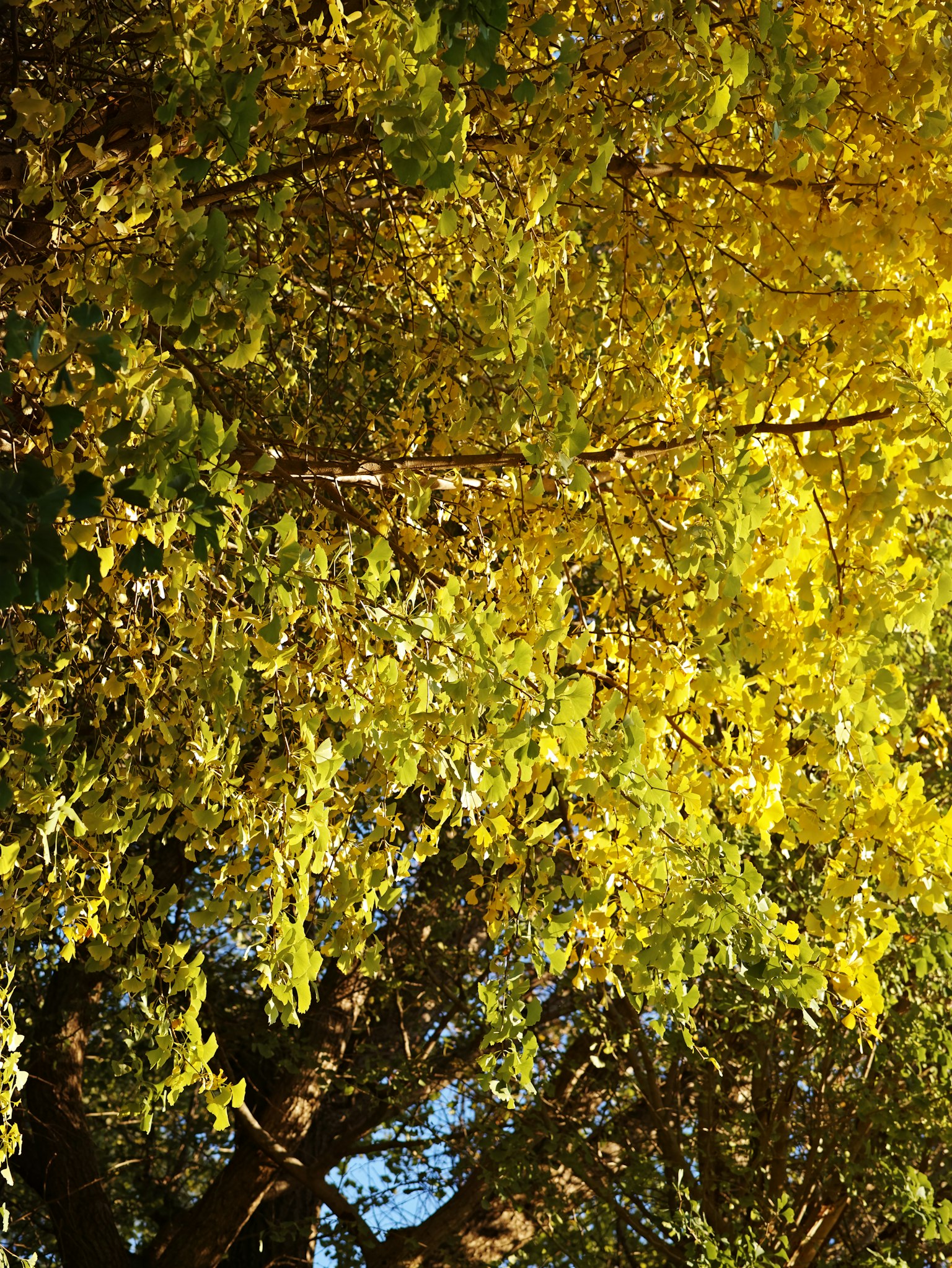 photo-i2VCfi6eUdPXwtz37x54-image