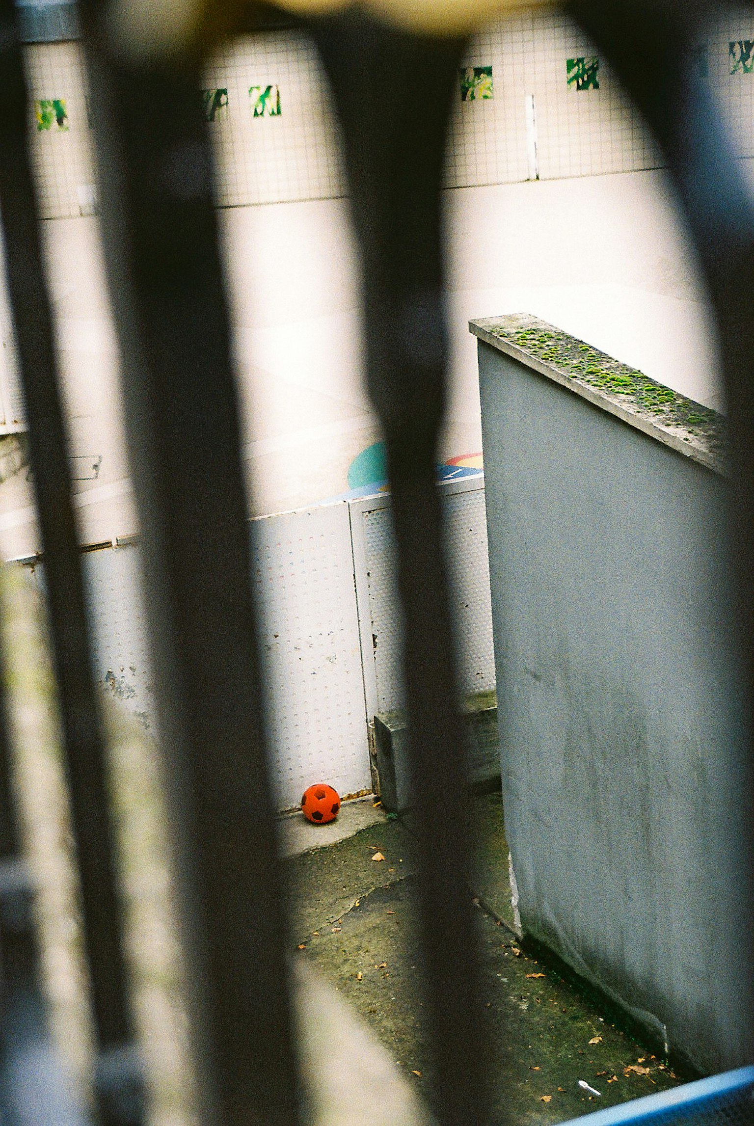 photo-i391XyL5XUWqROOBpkNu-image