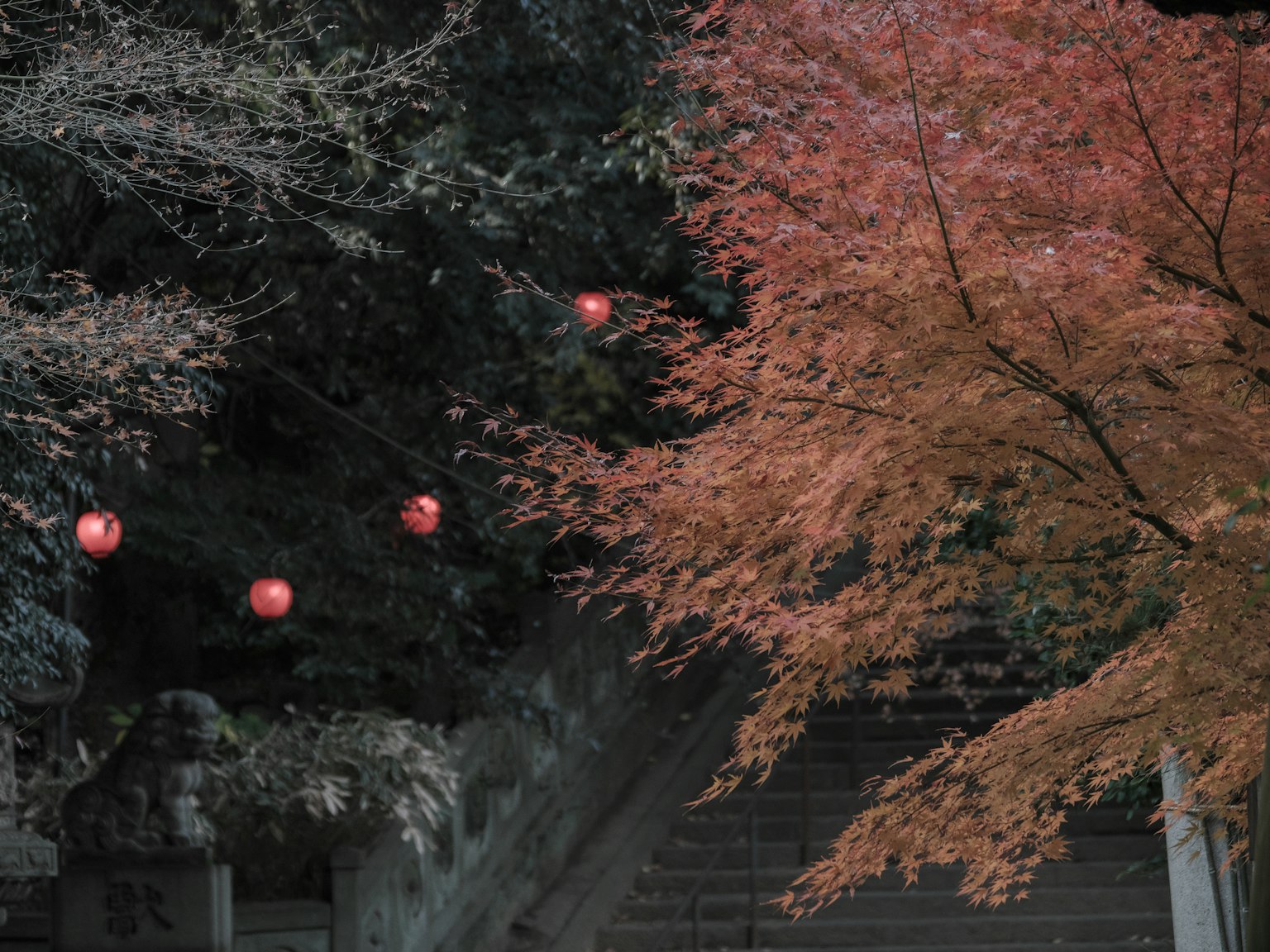 A serene staircase scene featuring red lanterns and vibrant autumn leaves