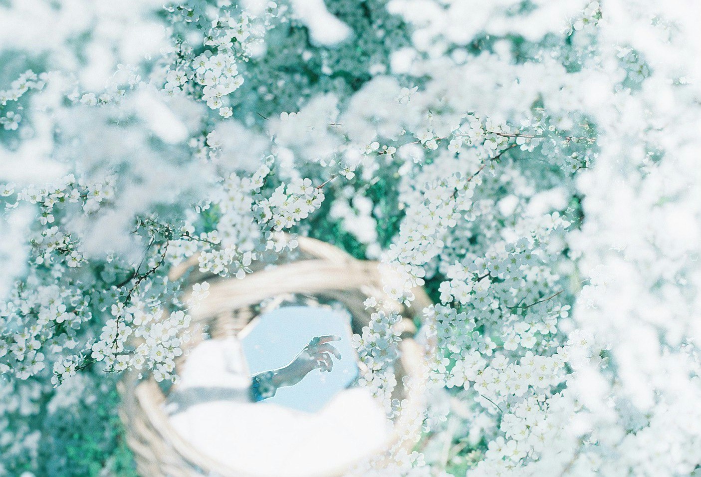 spring garden wreath surrounded by white blossoms