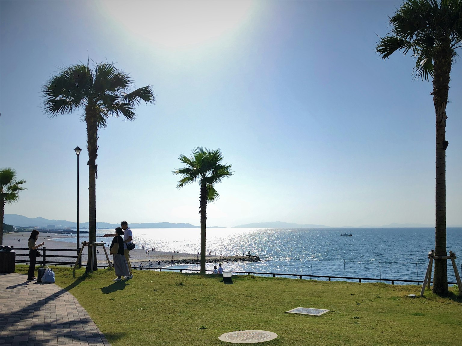 Beach scene with palm trees and blue ocean