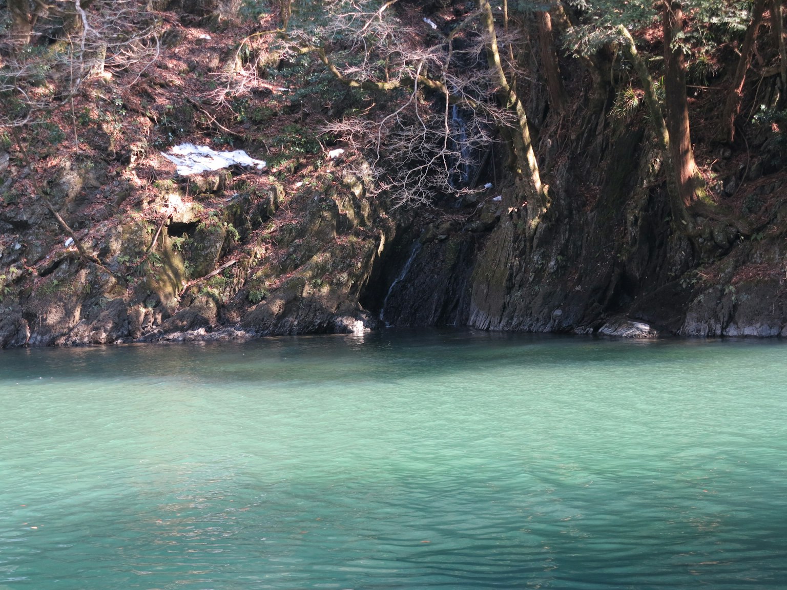 寧靜的風景，碧綠的水環繞著岩石和樹木
