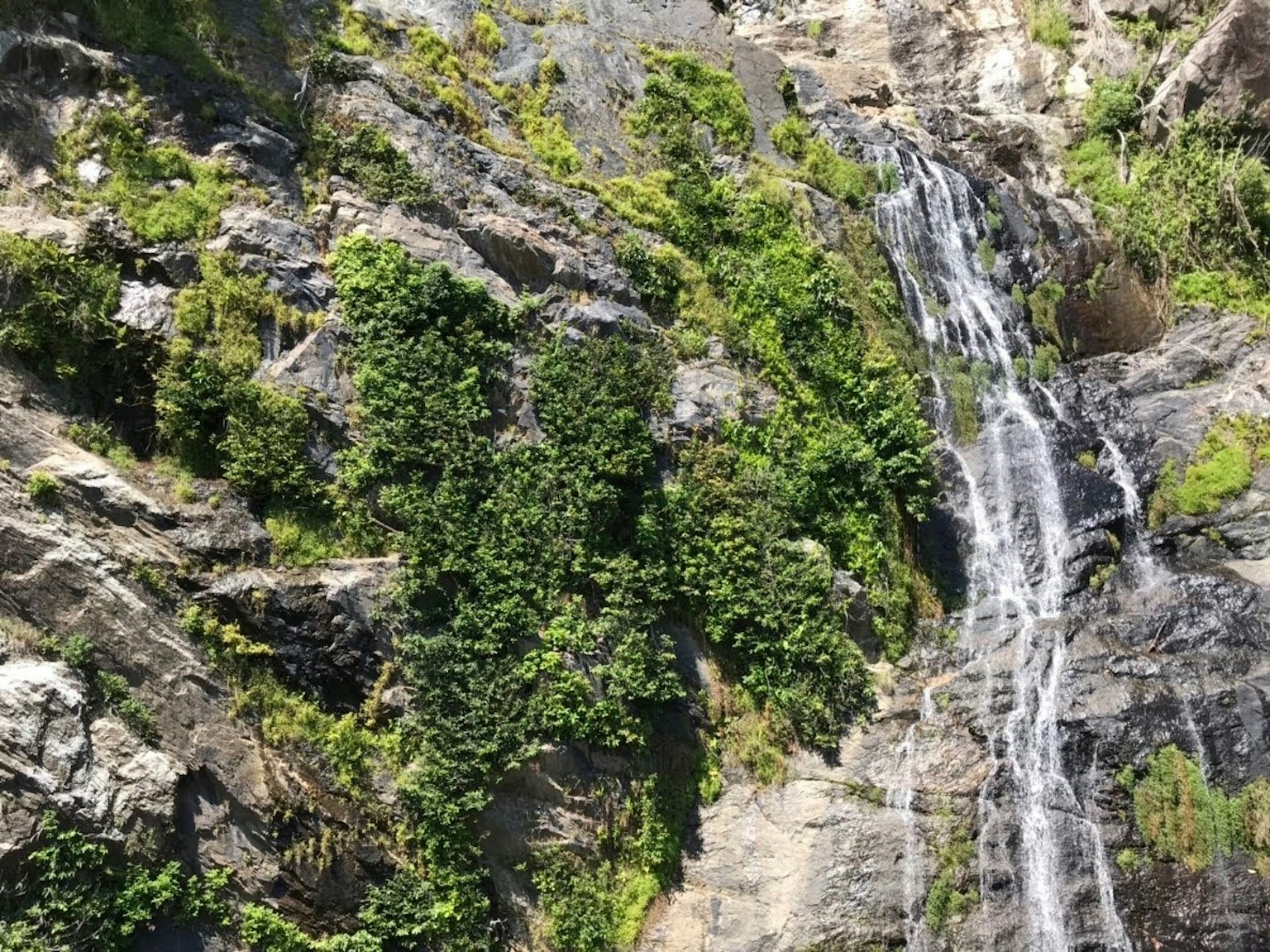 岩石悬崖与郁郁葱葱的植被和瀑布