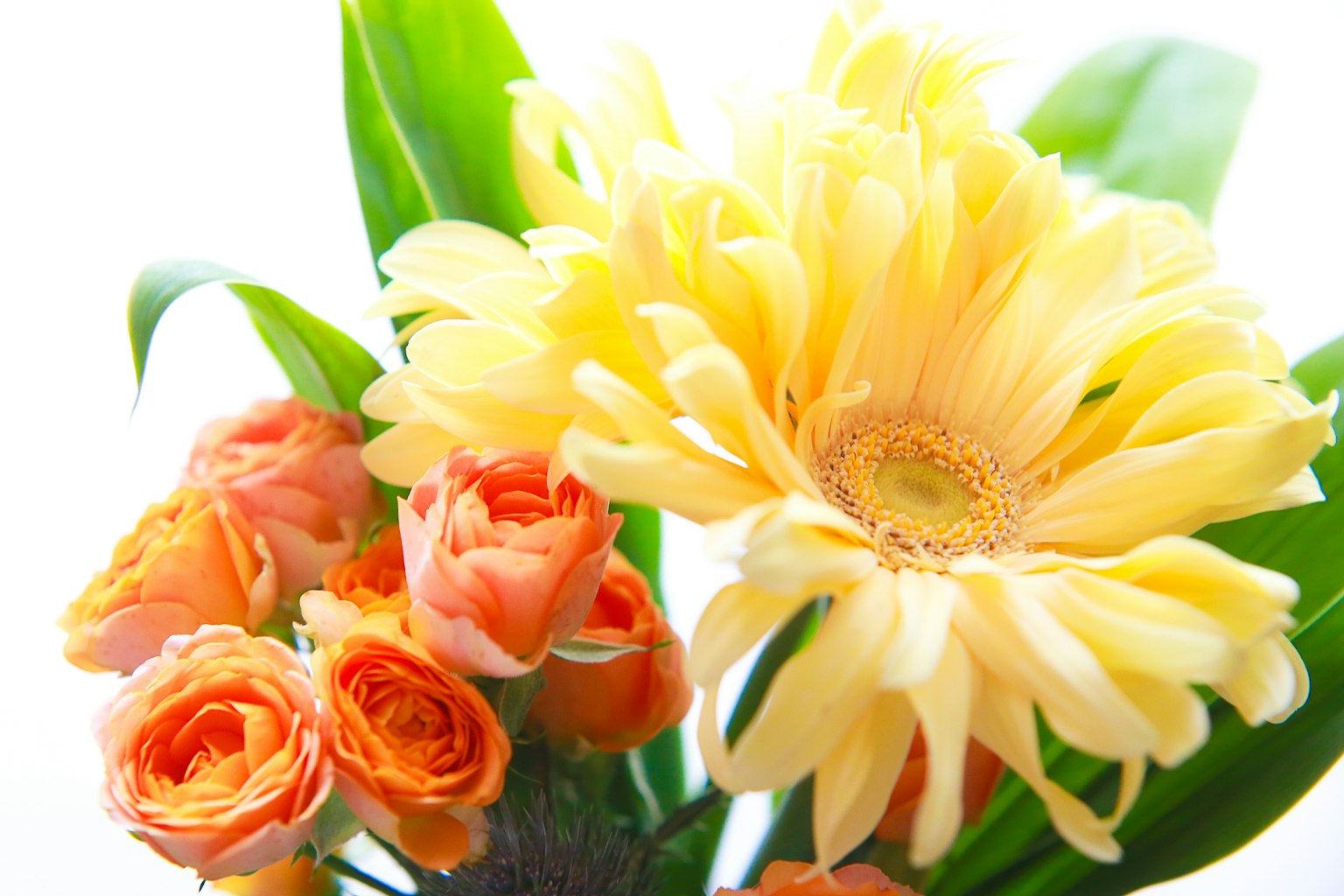 Bouquet bunga mawar oranye dengan gerbera kuning yang cerah