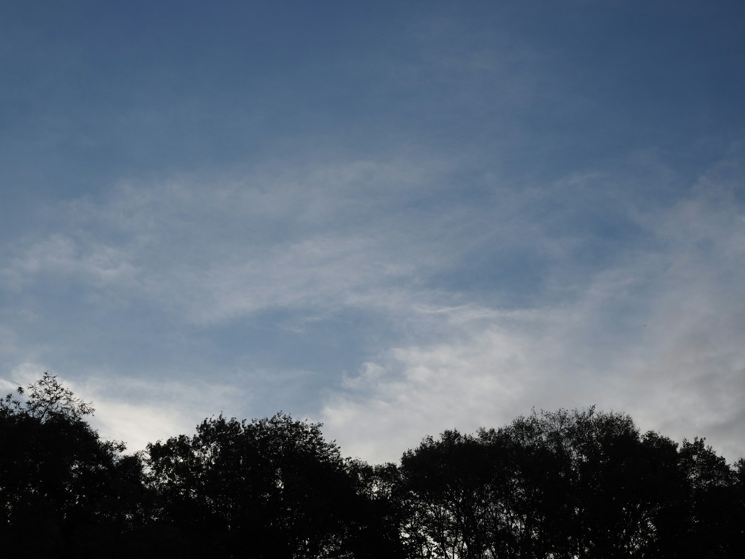 Silhouette von Bäumen vor einem blauen Himmel mit dünnen Wolken